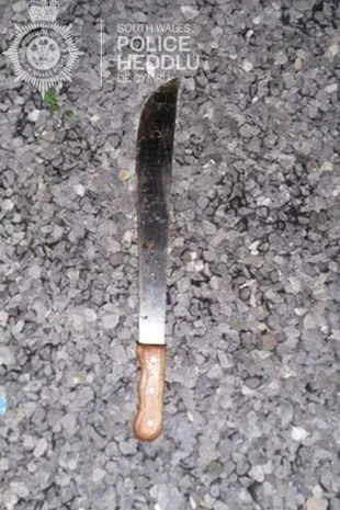 Machete recovered by police