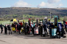Cheltenham Festival tips: Experts on best bets and 11 horses to watch on Day 3