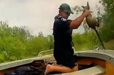 Moment police rescue baby kangaroo from ‘crocodile-infested floodwaters’