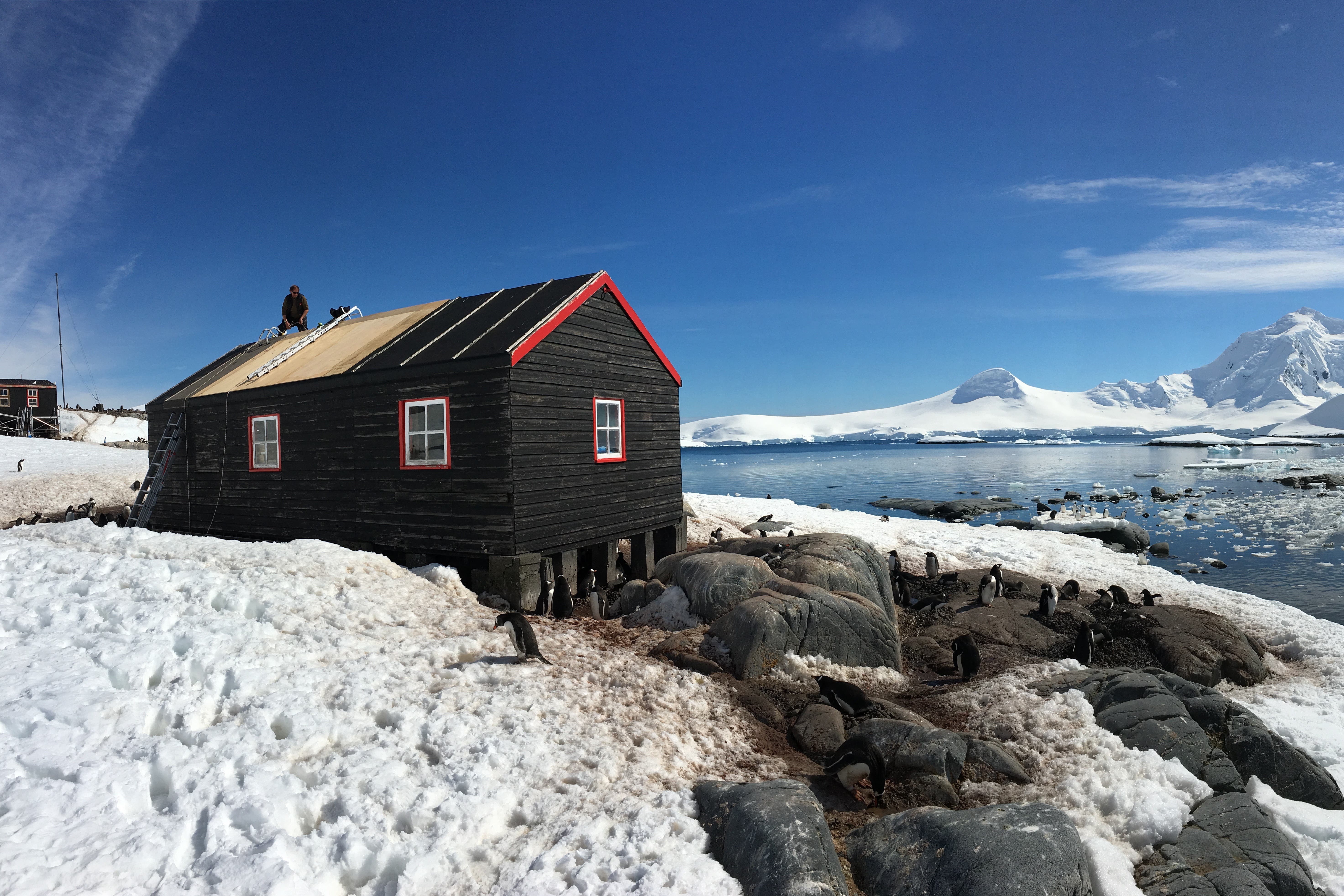 The recruits will work at Port Lockroy, Antarctica (UKAHT/PA)