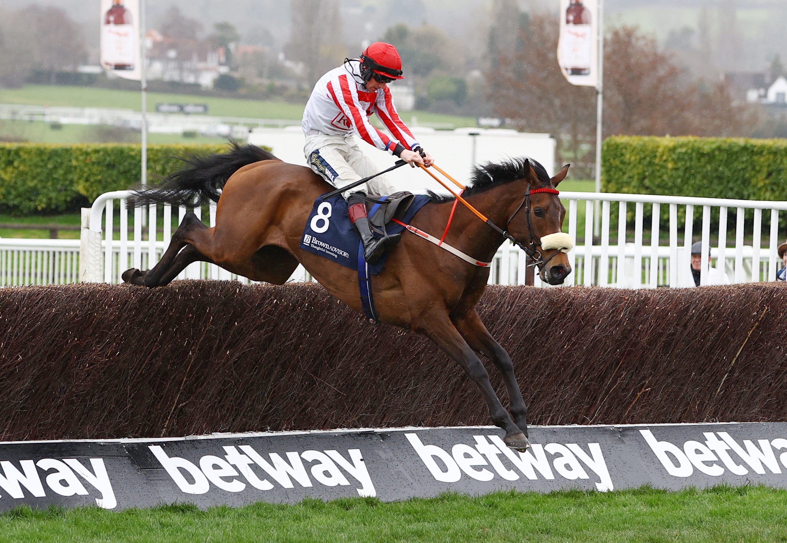 Cheltenham Festival Day 4 race card, runners and full schedule for 2023