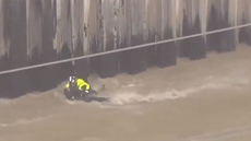 Man hangs on for life during helicopter rescue from raging Los Angeles River