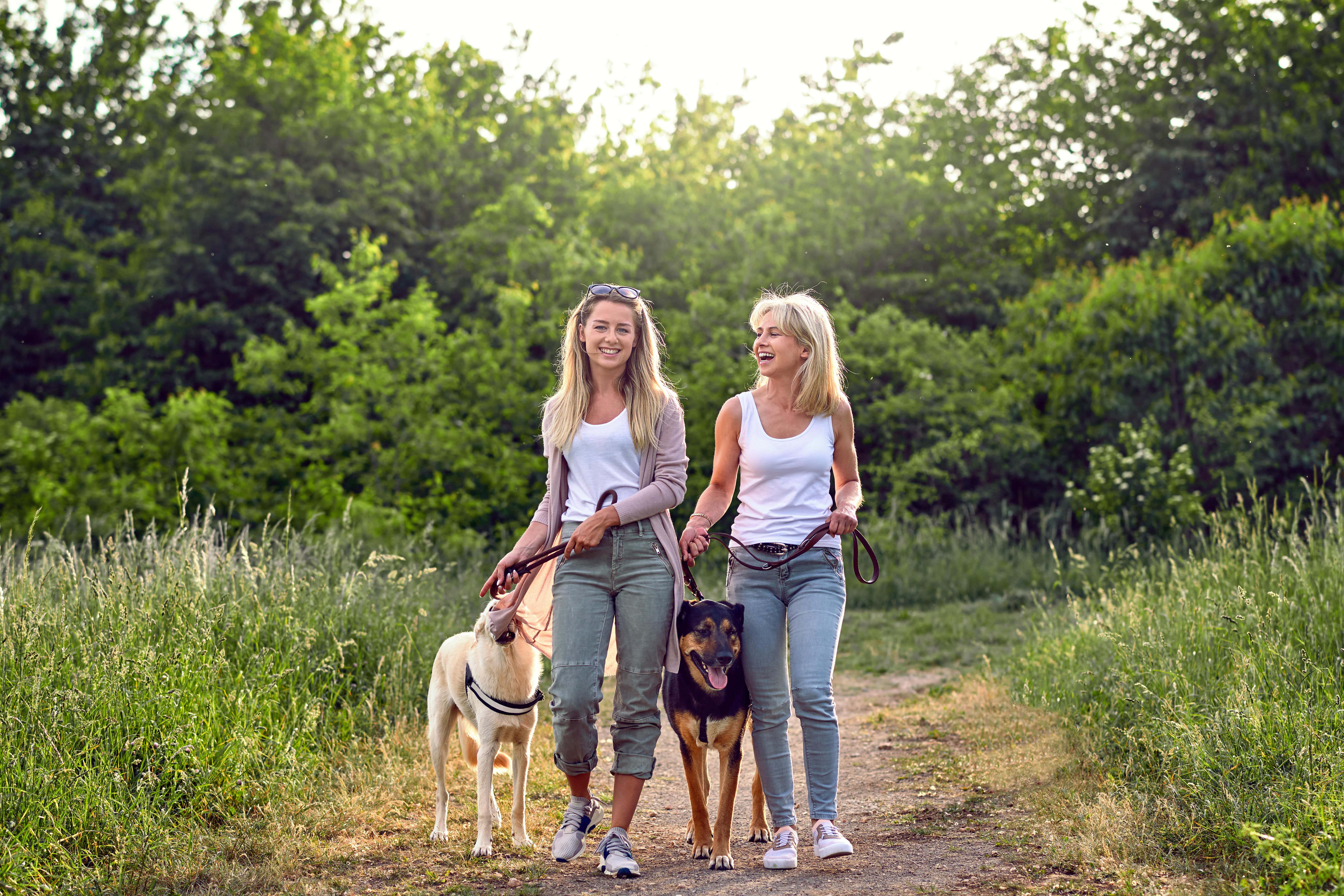 Why does everything feel better in spring? (Alamy/PA)