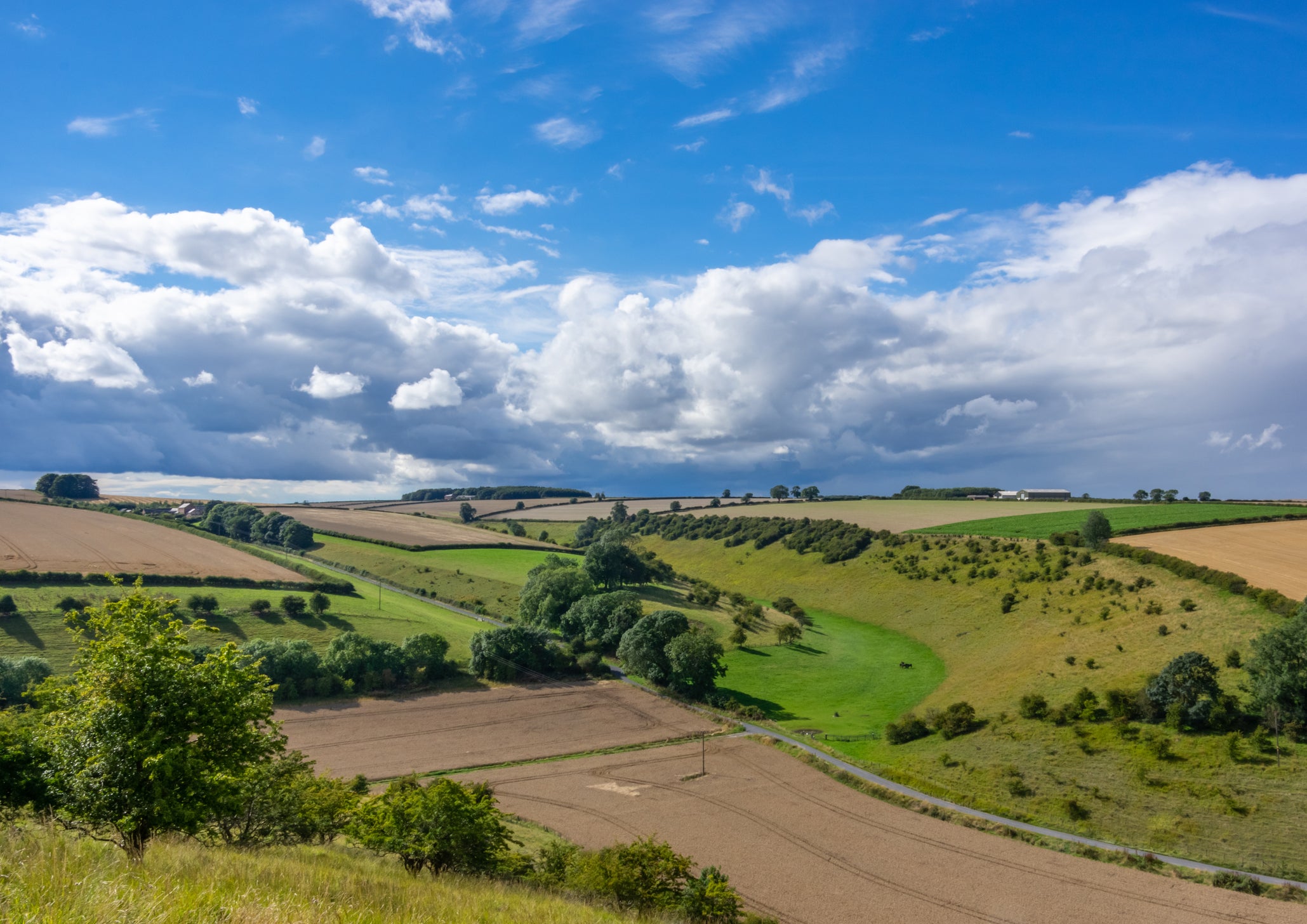 The Yorkshire Wolds are packed with walking potential