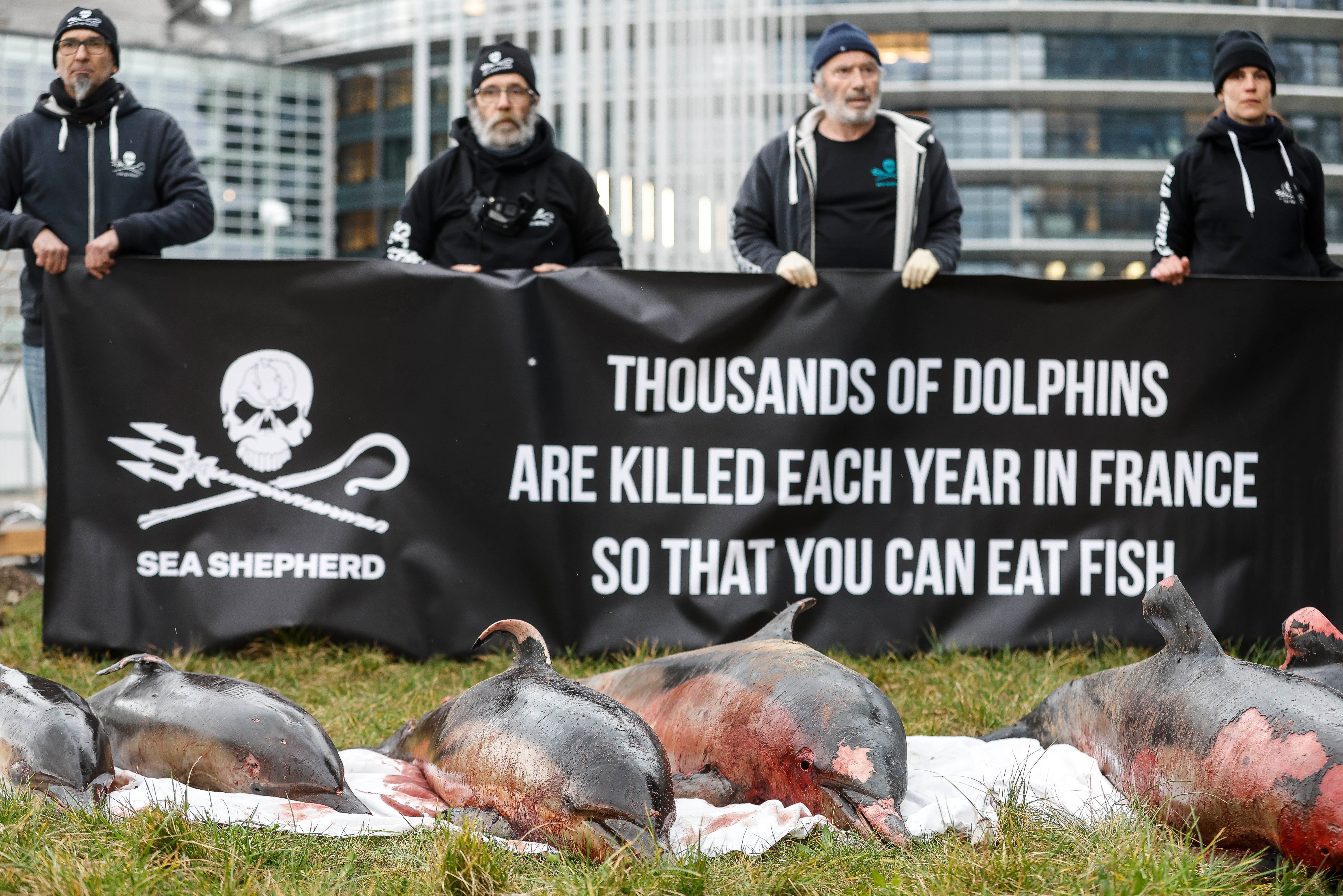 France Dolphin Protest