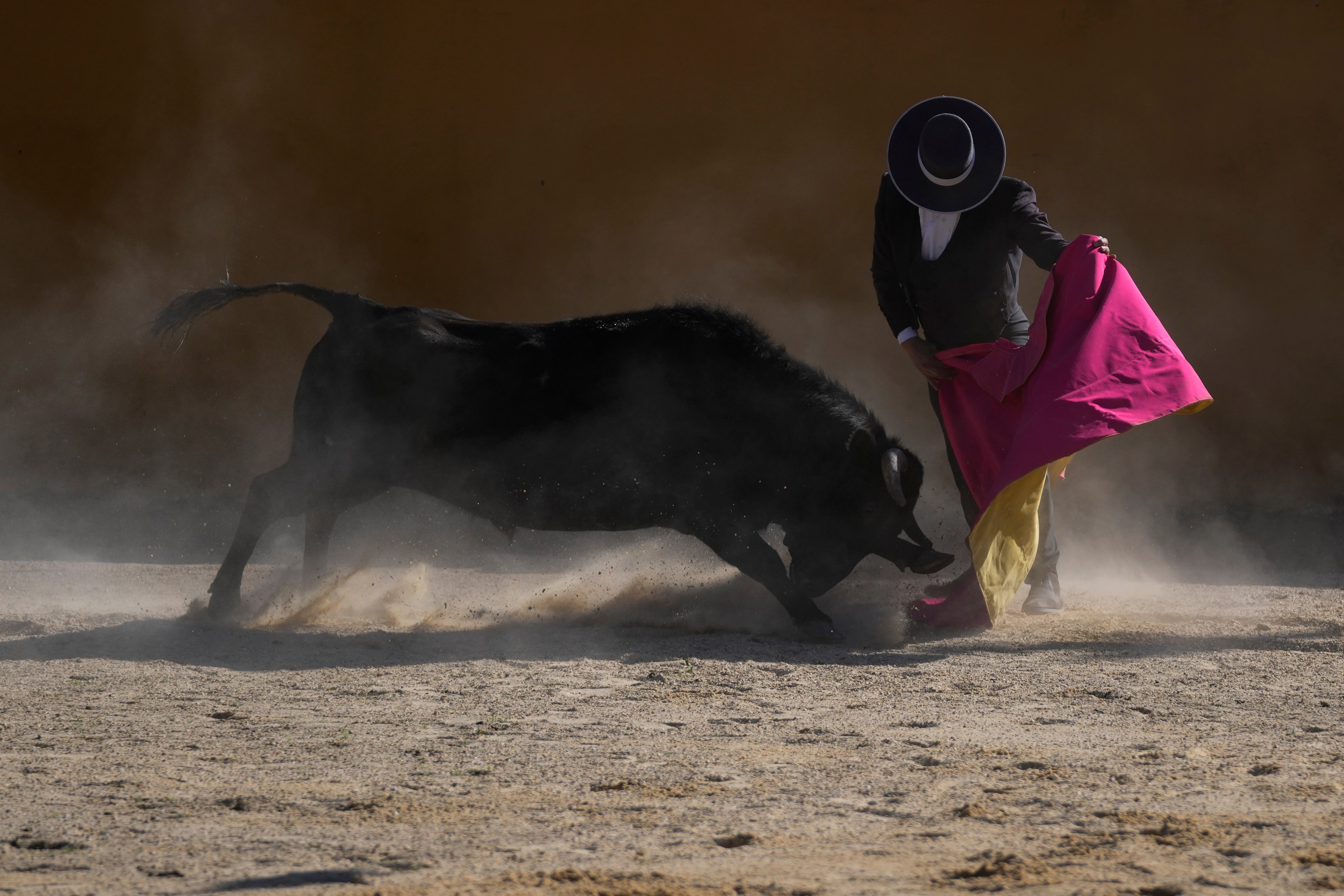Colombia Bullfights