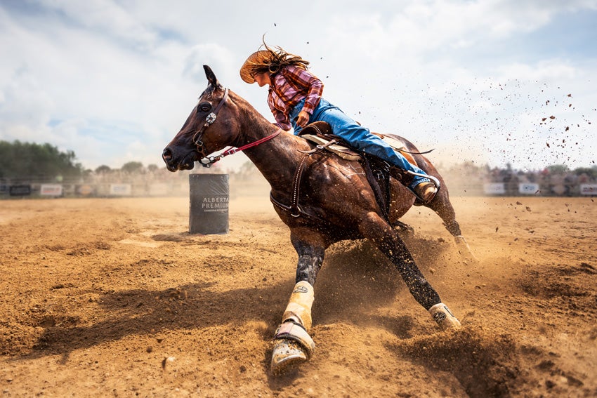 Winner of the motion category