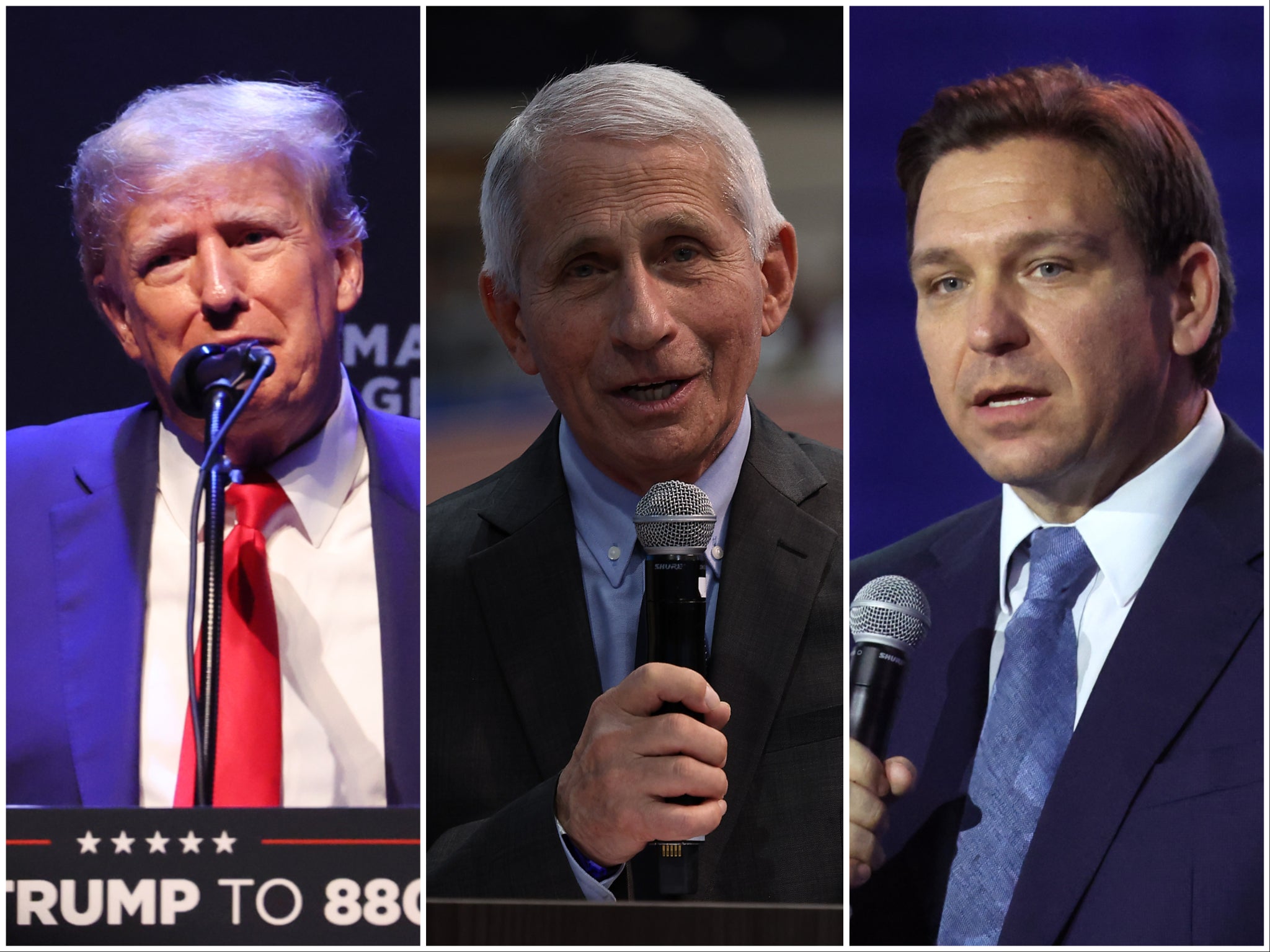 Donald Trump, Anthony Fauci, and Ron DeSantis