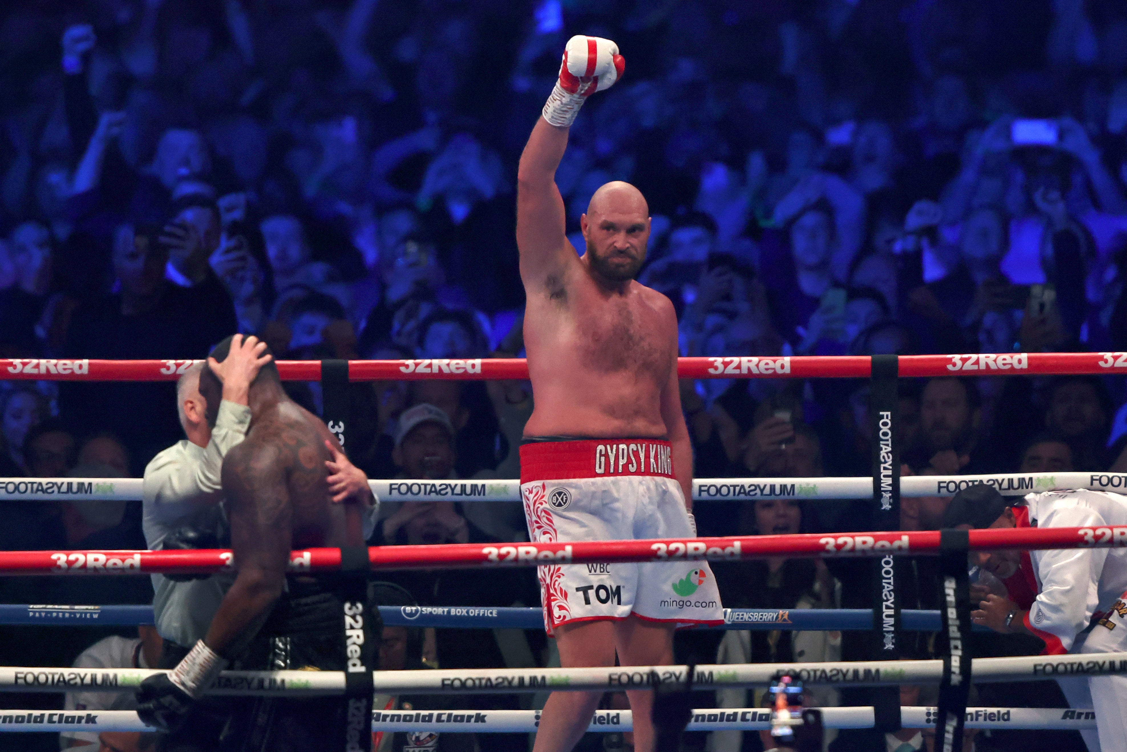 Fury after beating Dillian Whyte at Wembley Stadium in April 2022