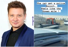 ‘She’s finally making her way home!’: Jeremy Renner excited to be reunited with snowplough that ran him over