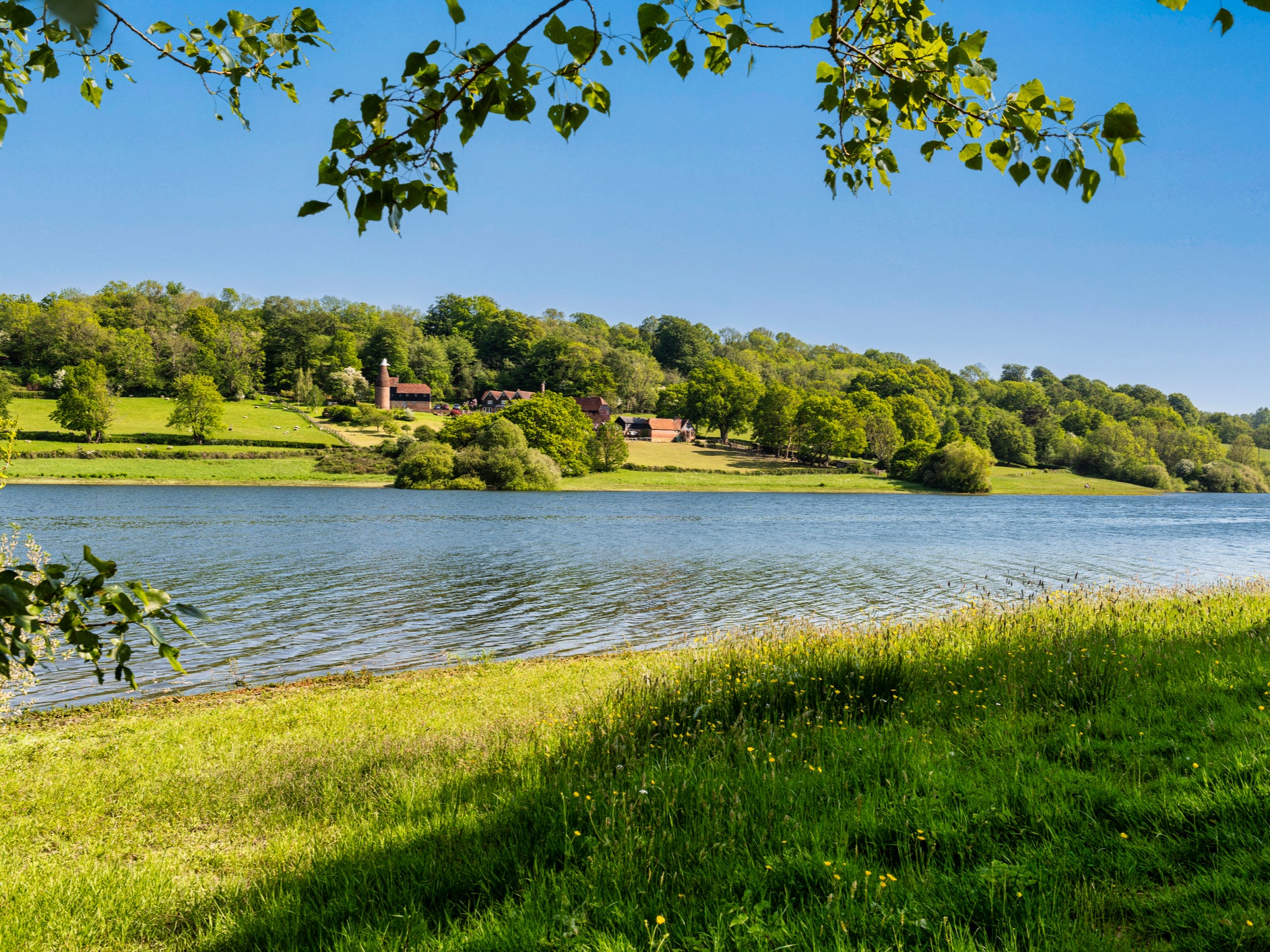 Bewl Water reservoir near Wadhurst, East Sussex