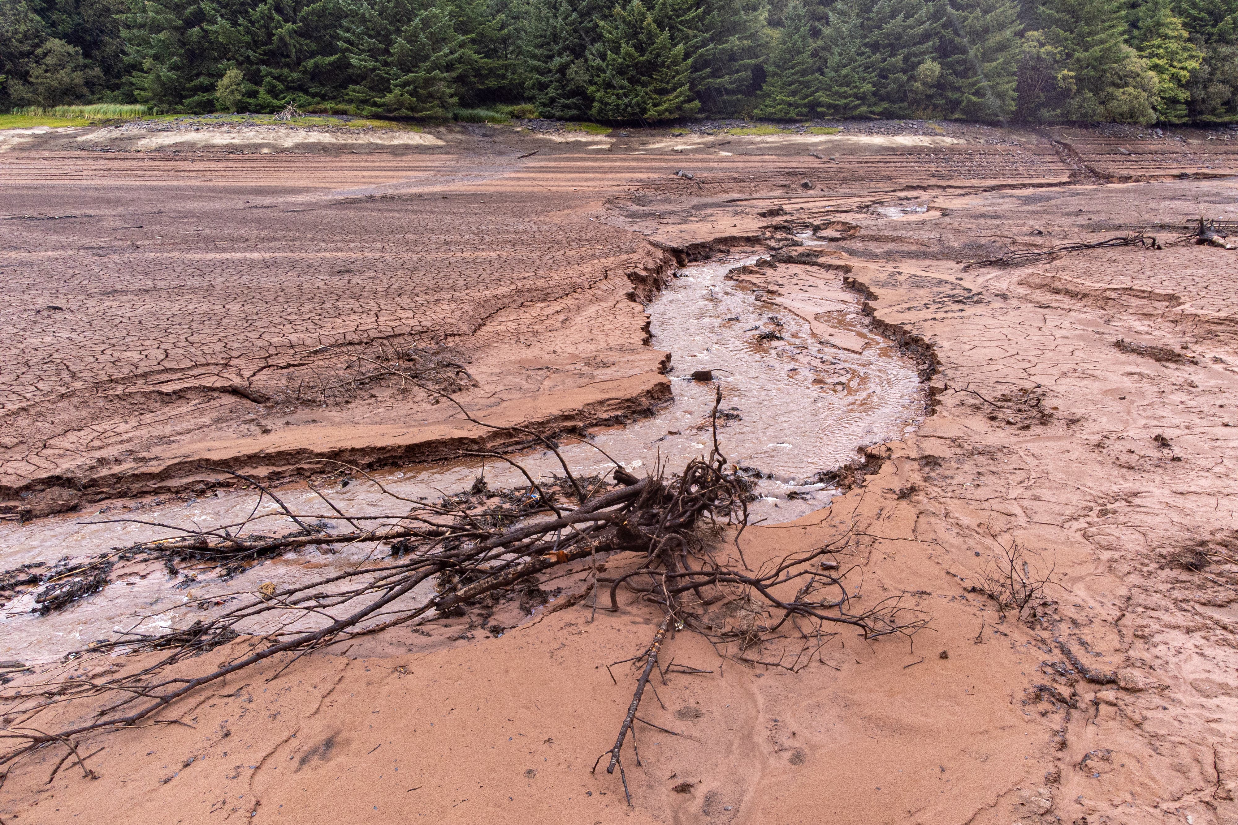 Acute water stress will threaten billions of people by 2030 (Ben Birchall/PA)