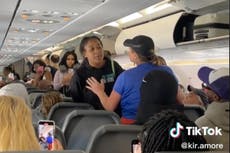 Woman carried off airport tarmac after scratching police following fight on flight