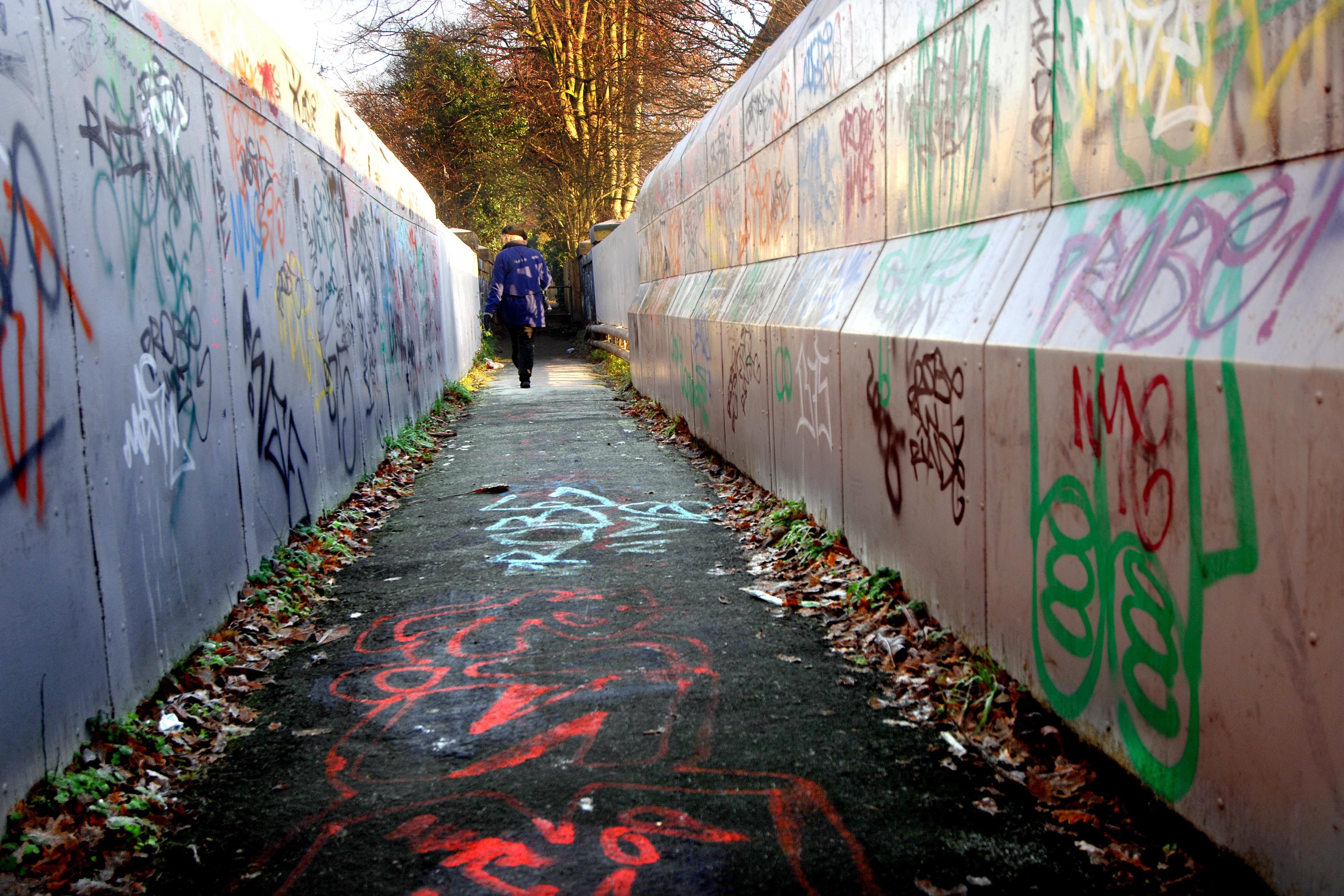 Offenders will have to clean up their crimes within 48 hours of being handed community orders, the Prime Minister is set to announce (David Jones/PA)