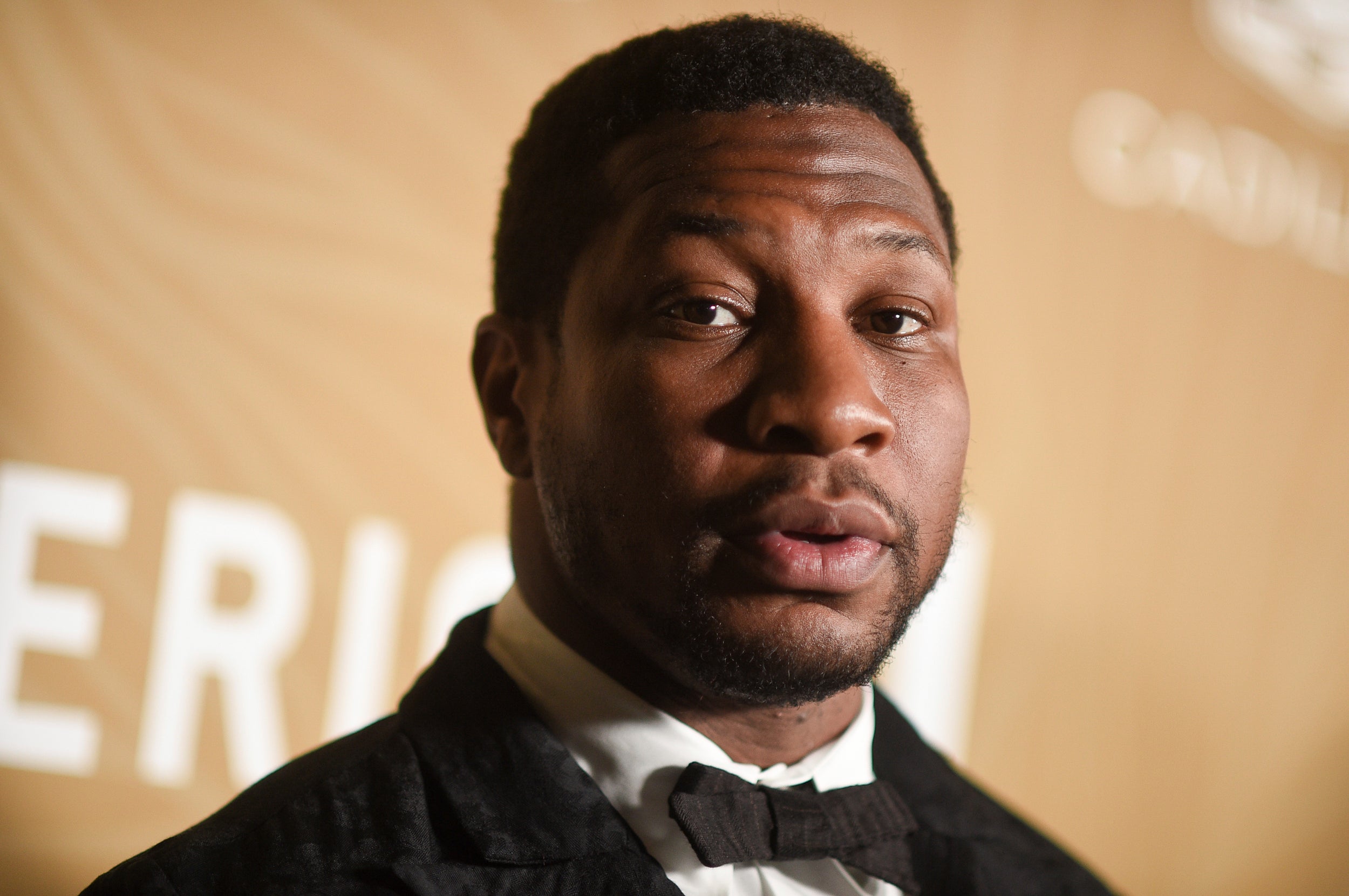 Jonathan Majors Assault Case