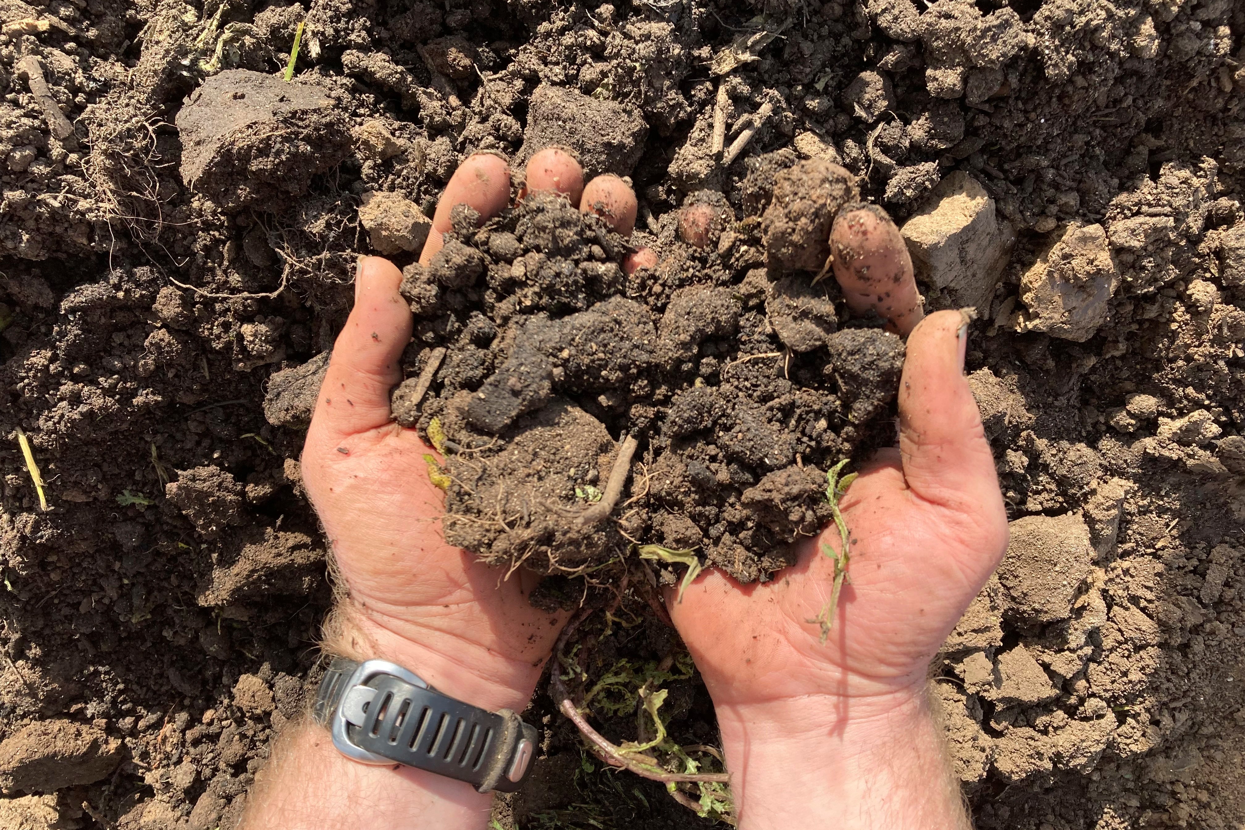 The Country Trust has been calling for volunteers around the UK to bury a pair of cotton pants for a few months to test soil quality