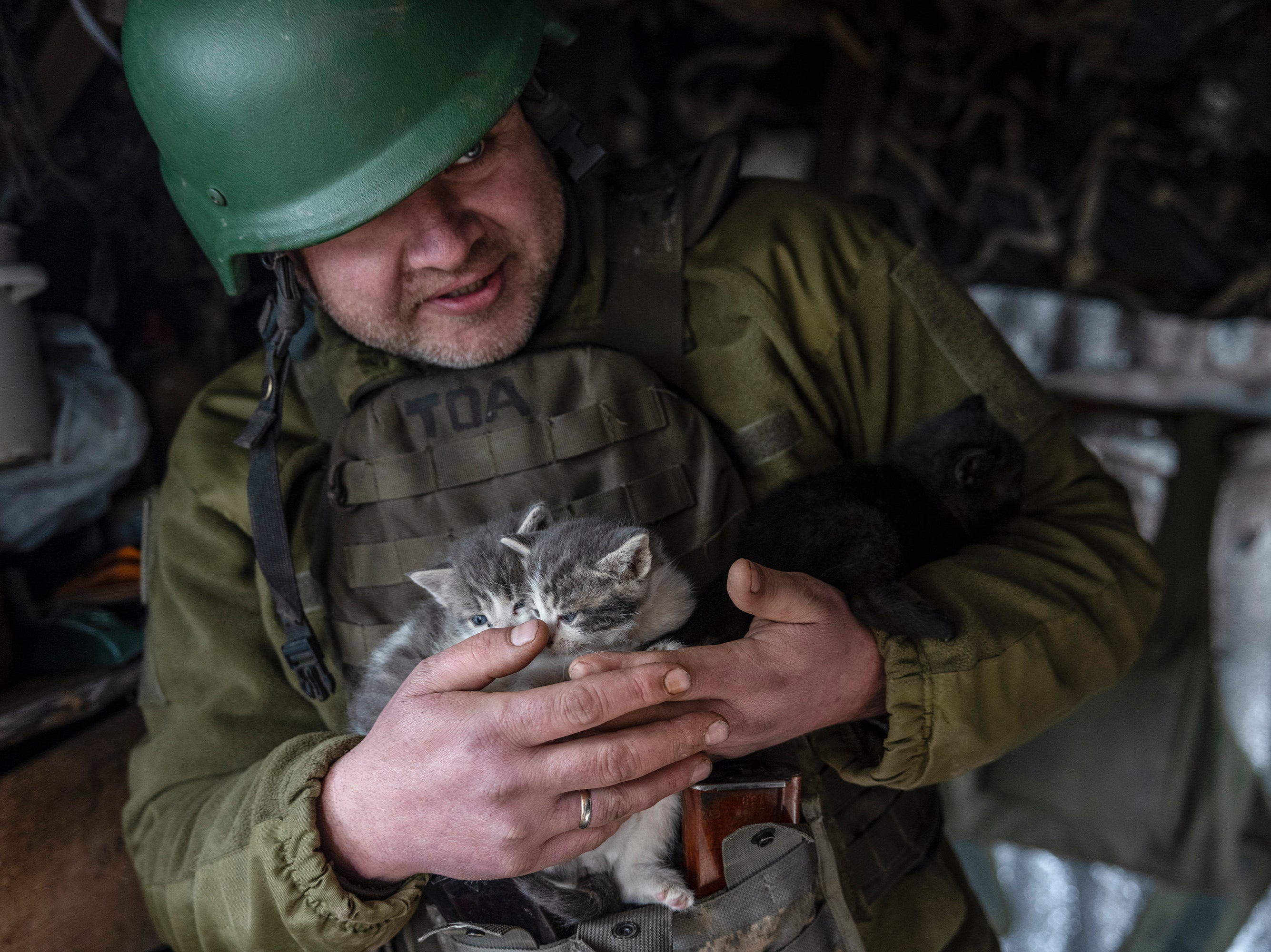 A Ukrainian soldier who goes by the call sign Yarik holds three of six kittens born in a bunker used by the 24th Separate Mechanised Brigade