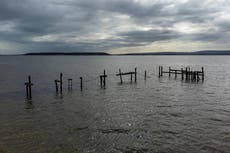 ‘Oiled birds’ spotted around Poole Harbour, says RSPB