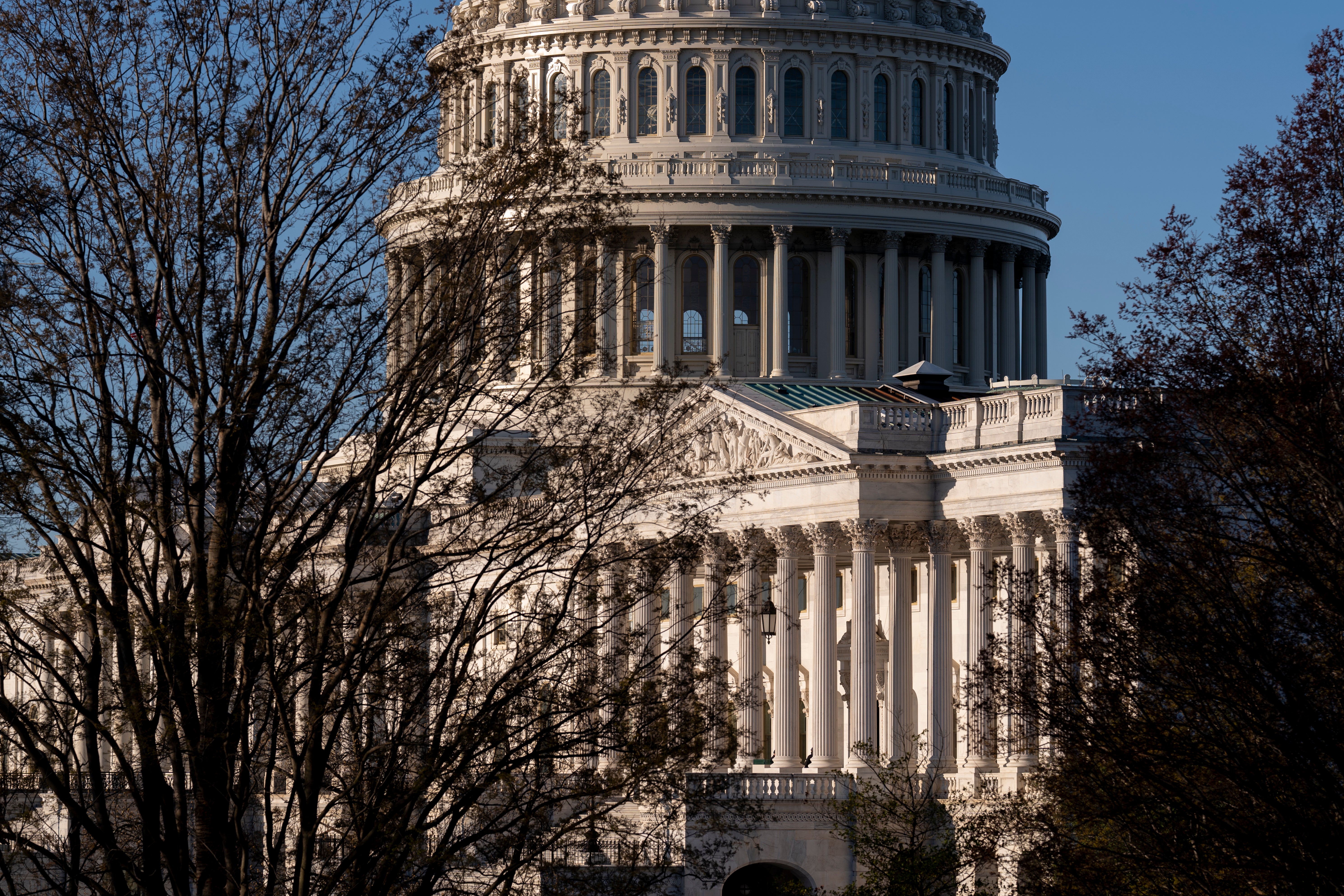 Senate Staffer Stabbed