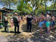 Hawaii authorities say 33 swimmers were harassing dolphins