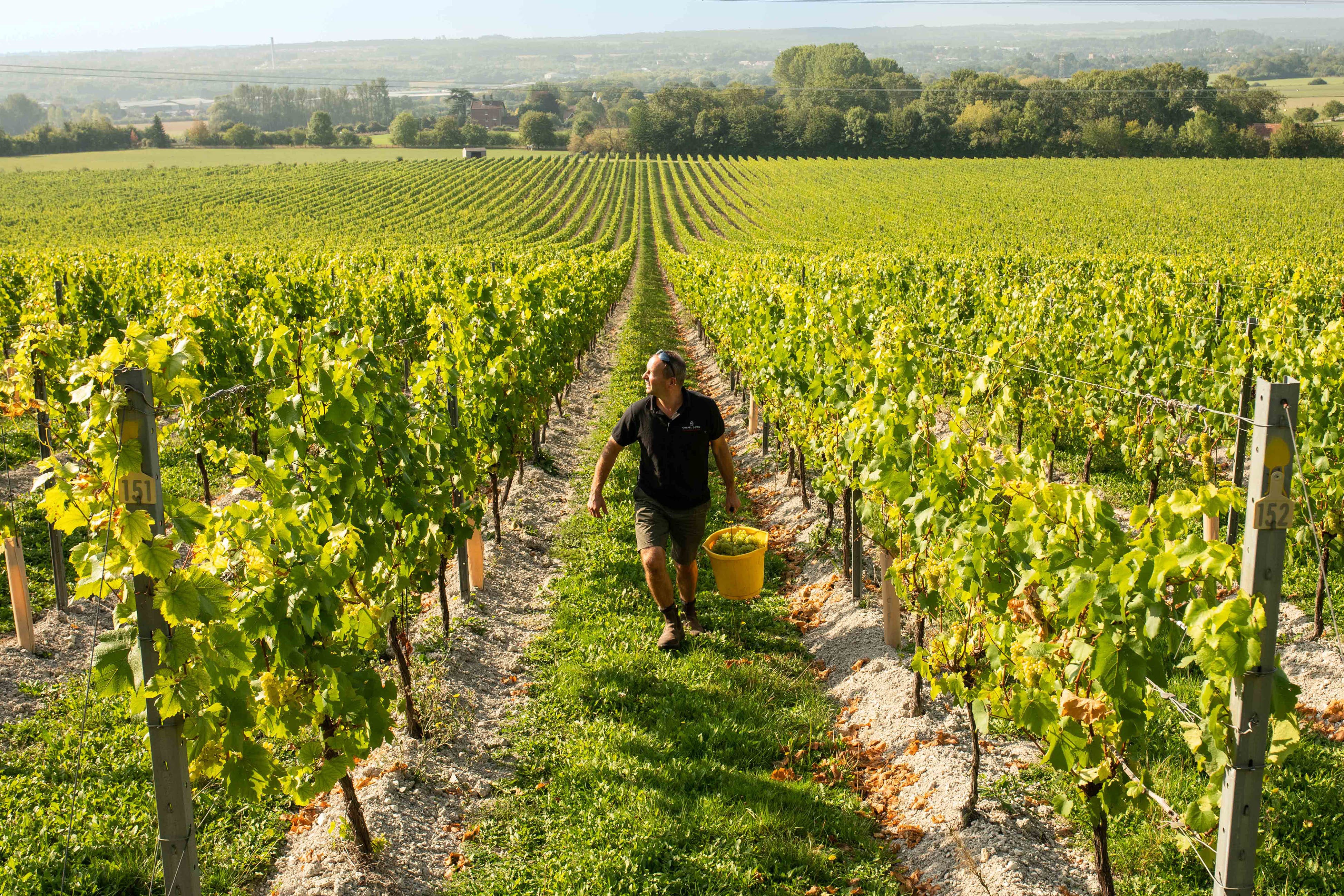 Winemaker Chapel Down has reported a jump in sales and profits after selling a record number of sparkling wines and bumping up its prices (John Nguyen/PA)