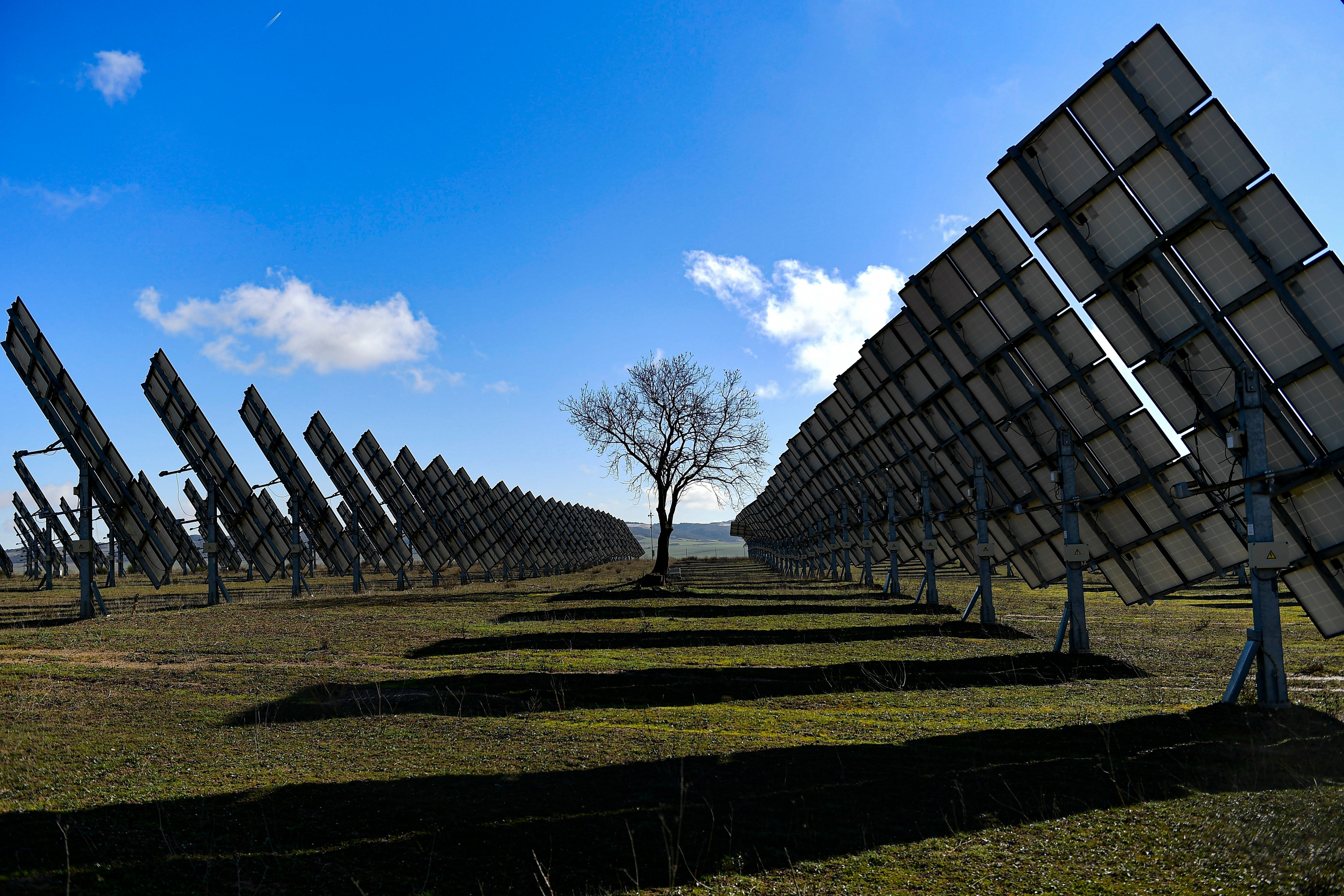 Spain Clean Energy Fight