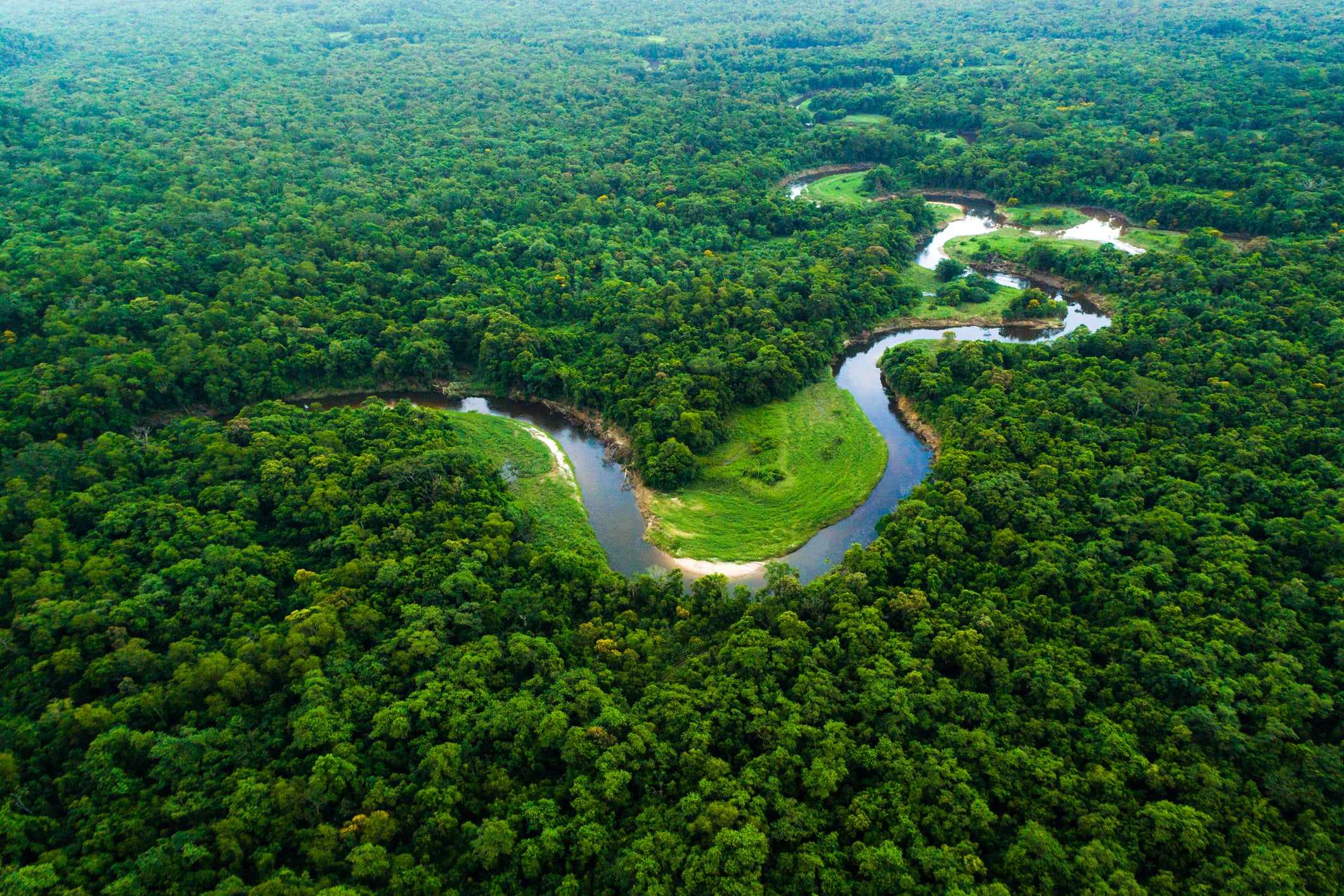 Brazil’s Atlantic Forest