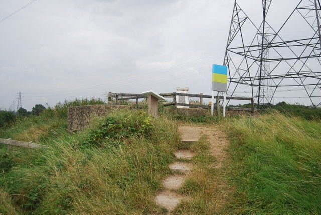 Ms Wright was found dead in Wat Tyler Country Park (pictured)