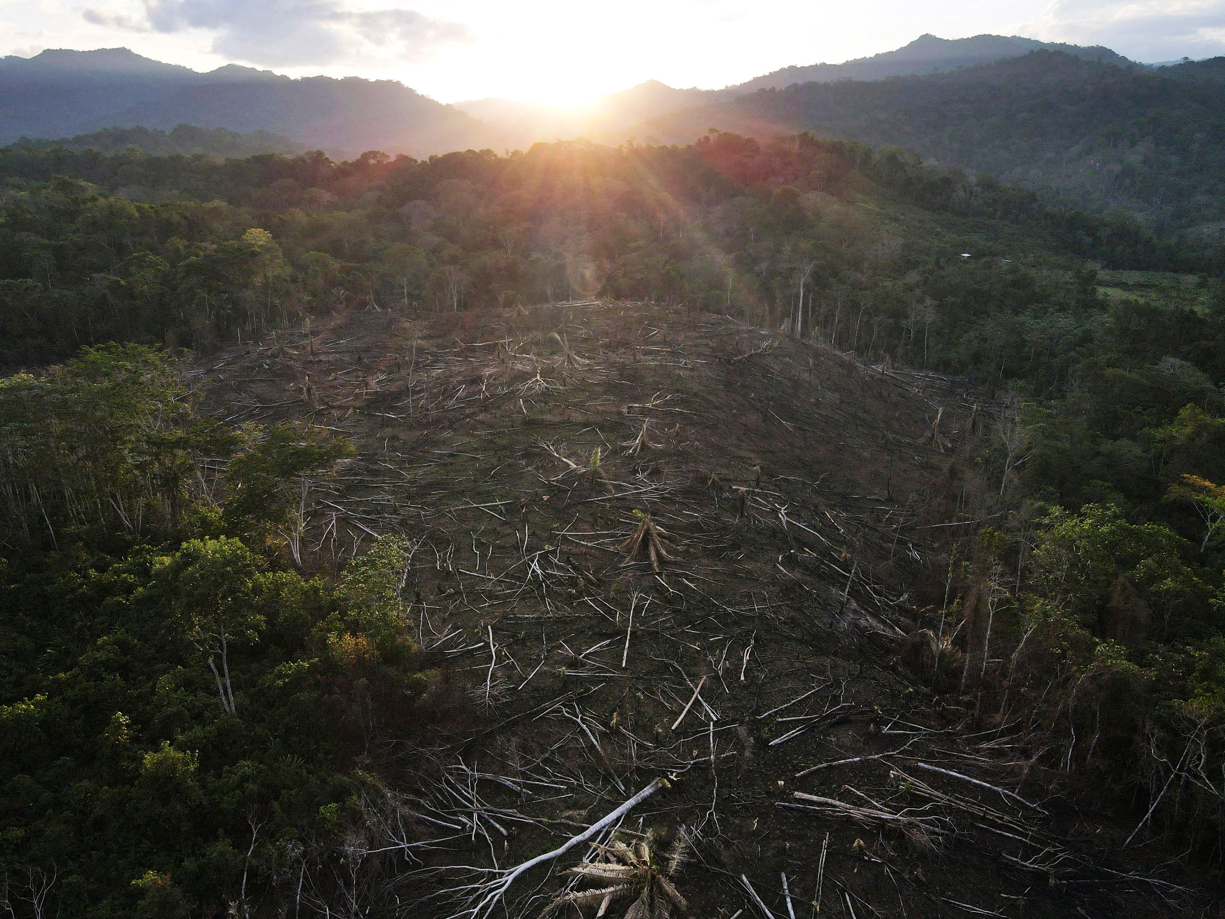 Climate Peru Carbon Credits Doubts