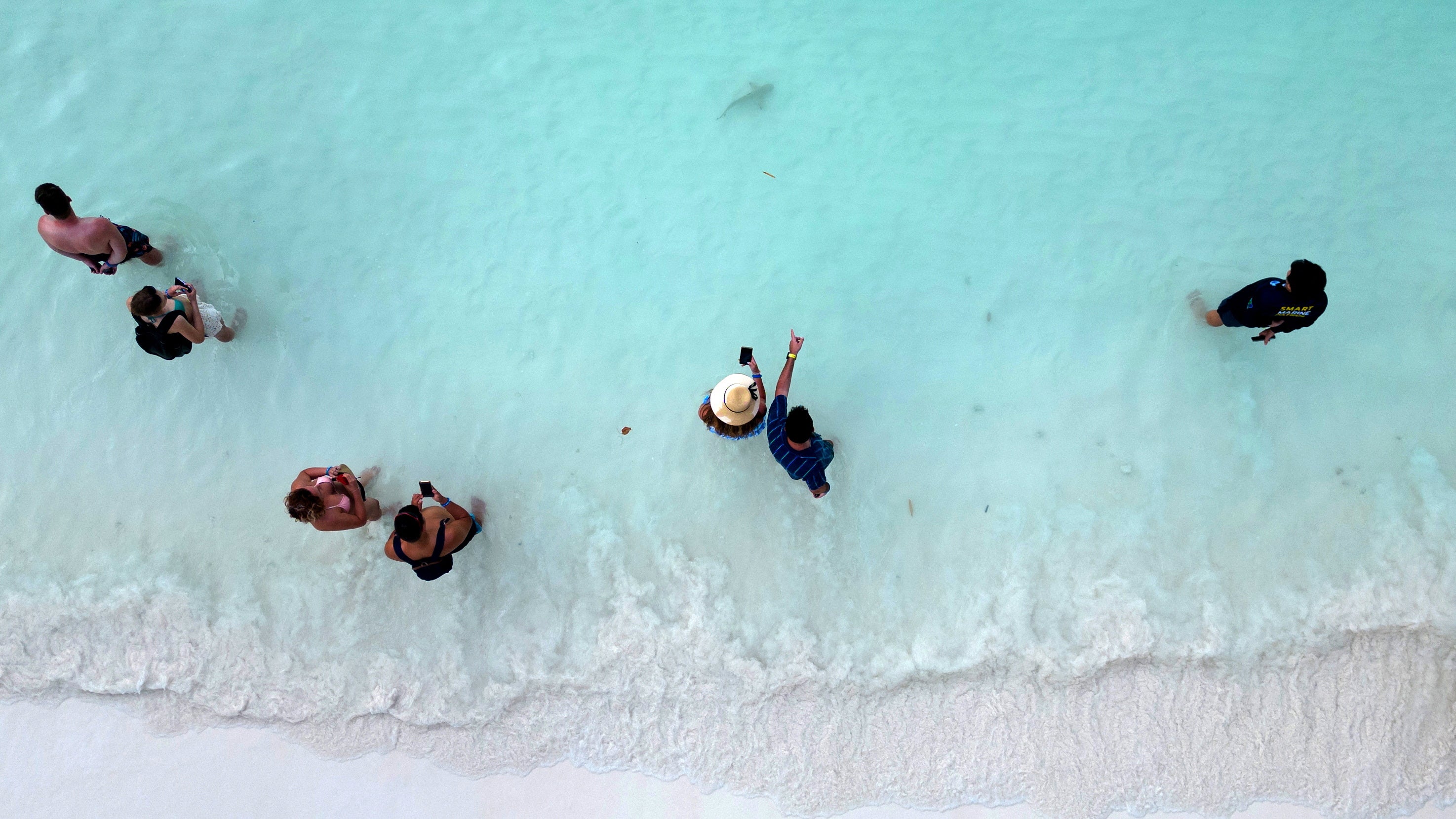 Tourists watch a newborn blacktip reef shark at the beach of Maya Bay in Phi Phi Island National Park, on Phi Phi Leh Island, Thailand