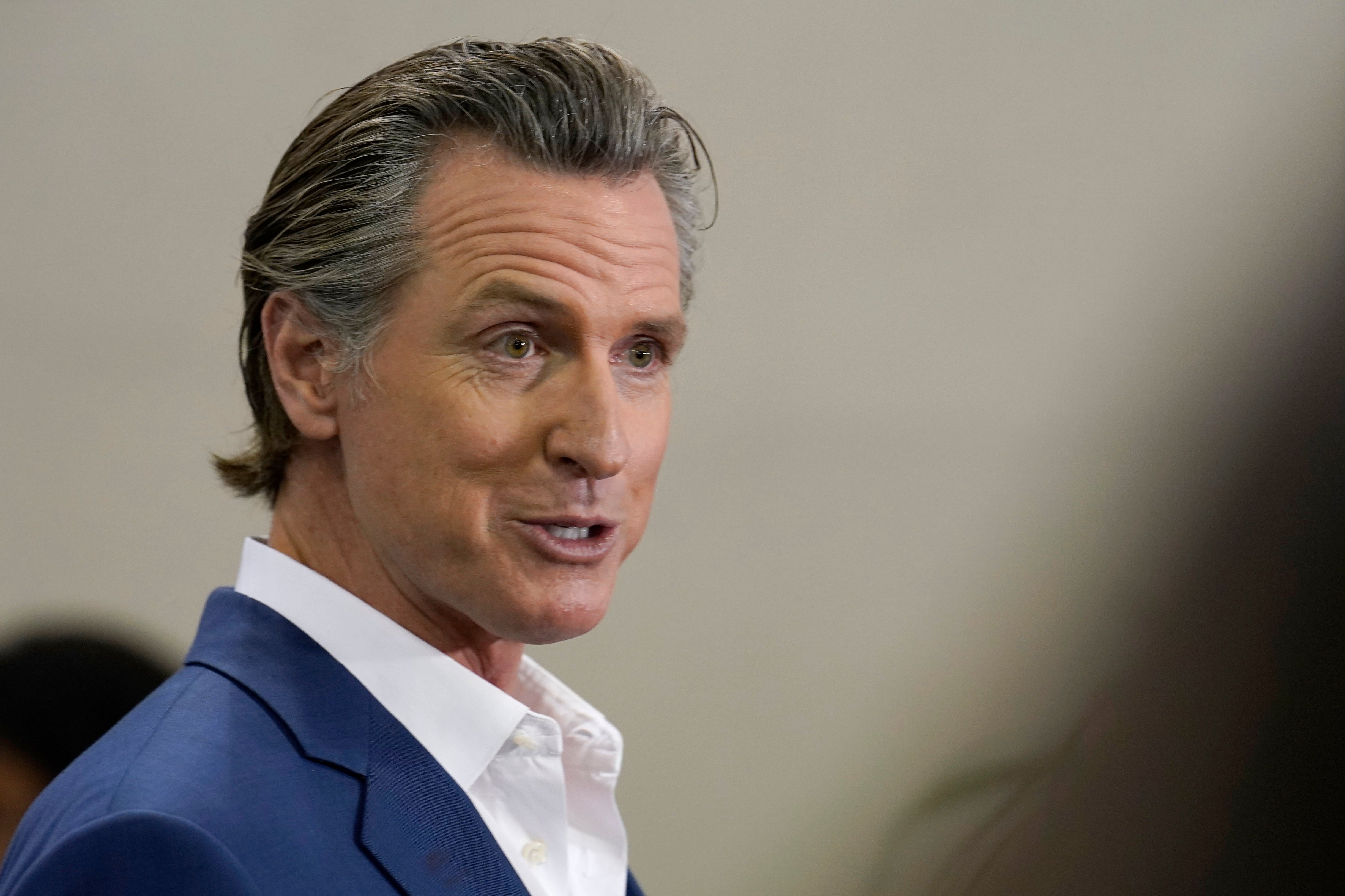 Election 2024-Newsom