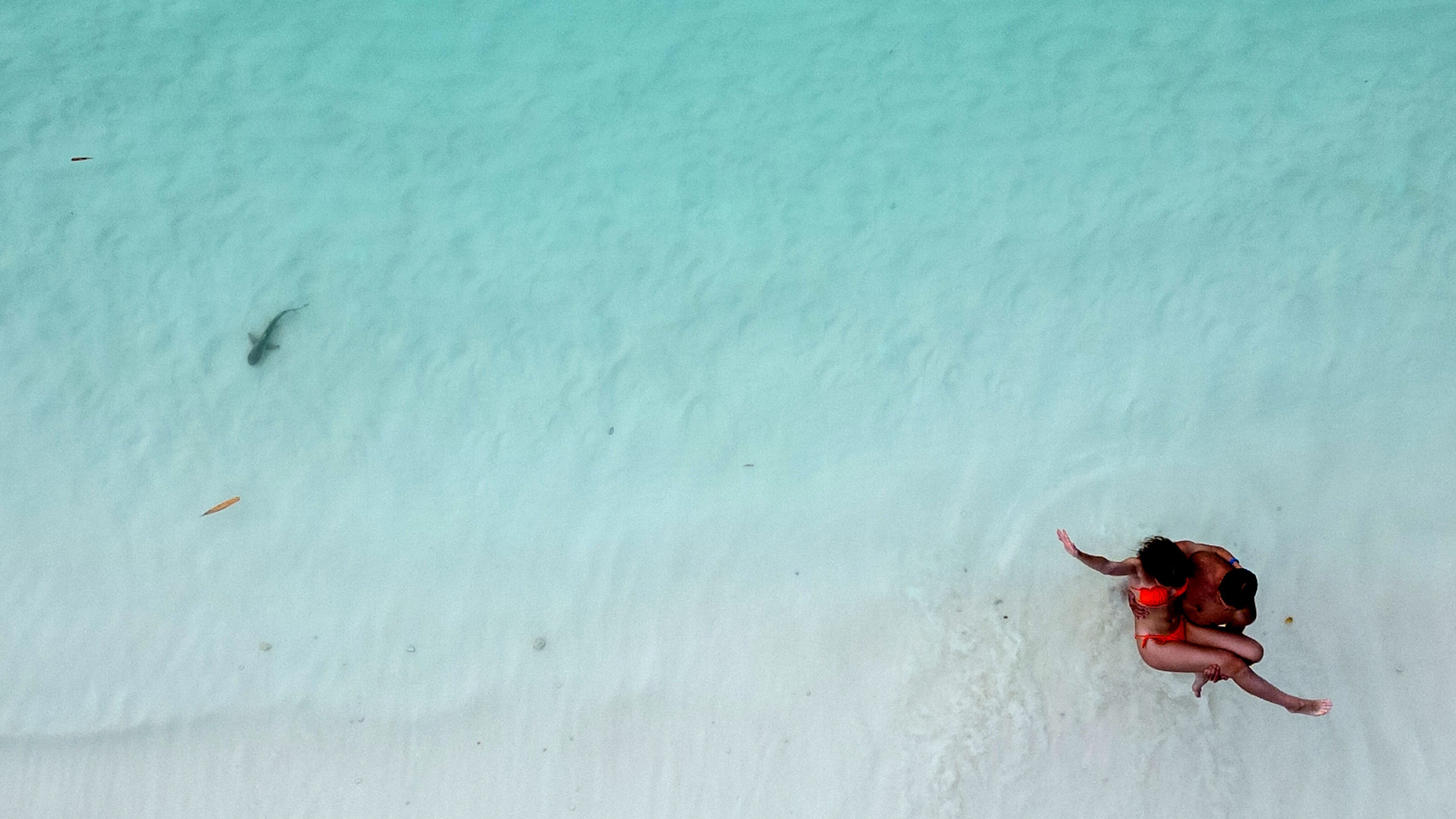 Tourists pose for a picture as a newborn blacktip reef shark swims by the shore