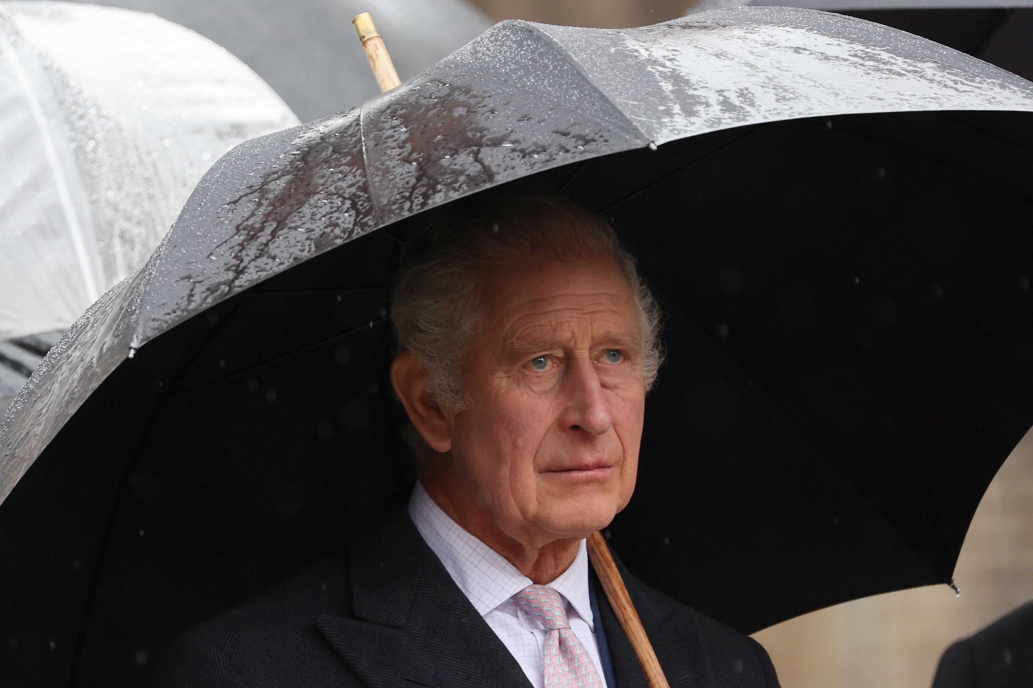 The King during the wreath-laying ceremony in Hamburg (Adrian Dennis/PA)