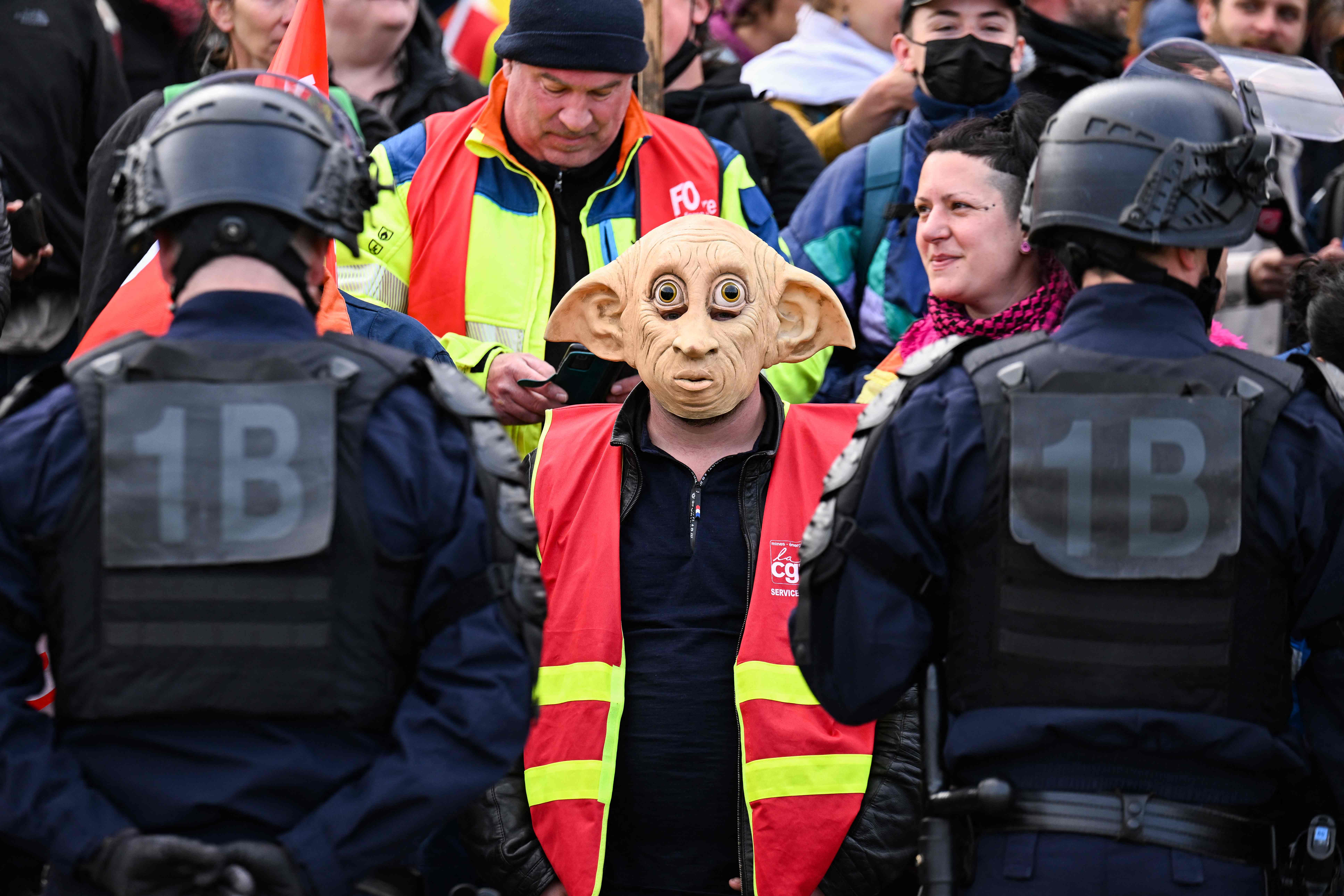 A protester wearing a mask of Dobby, the house-elf character from Harry Potter stands in front of French gendarmes during a demonstration against the visit of French President in Savines-le-Lac, French Alps