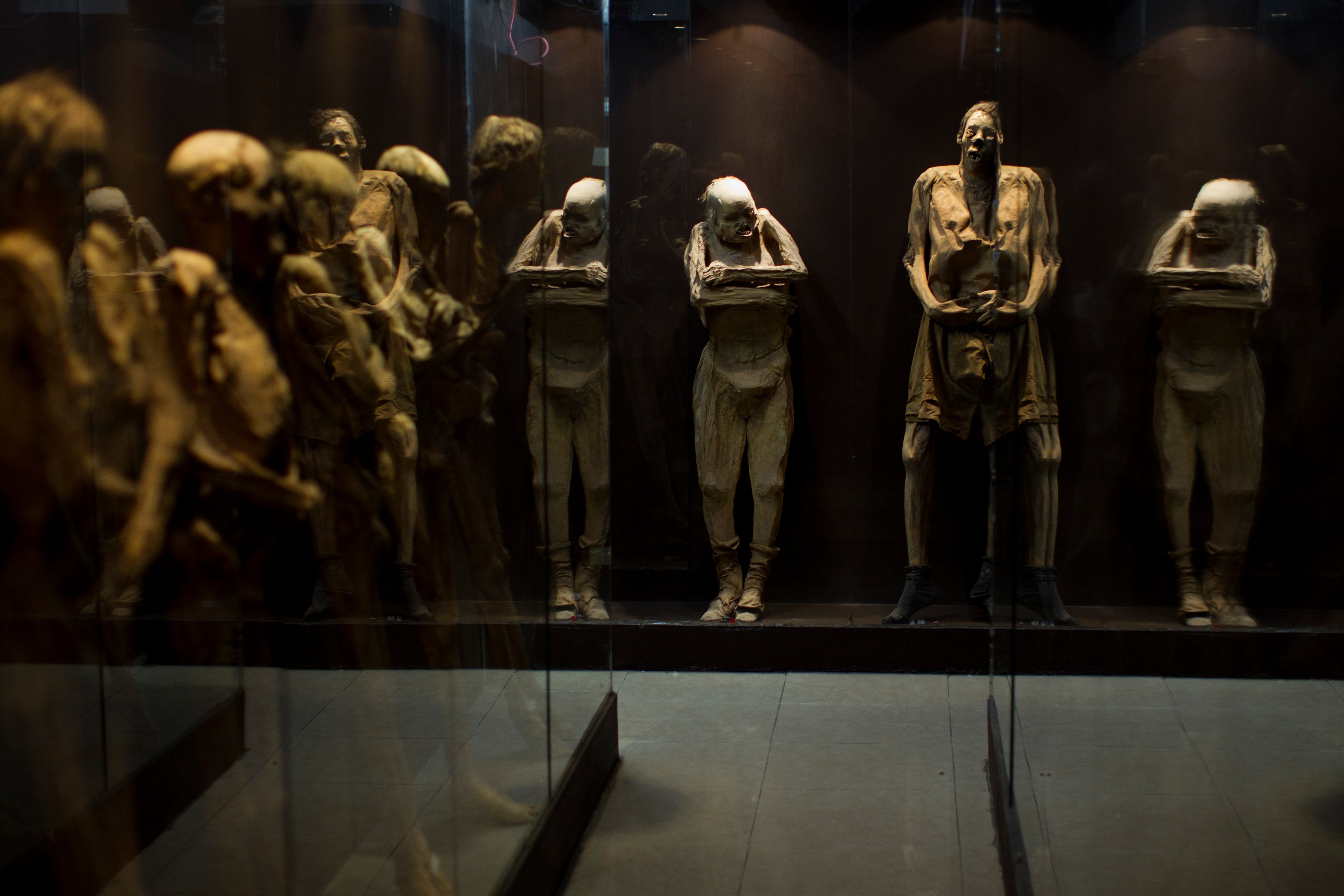 Mexican government experts previosuly said they are concerned that a traveling display of mummies from the 1800s may pose a health risk to the public