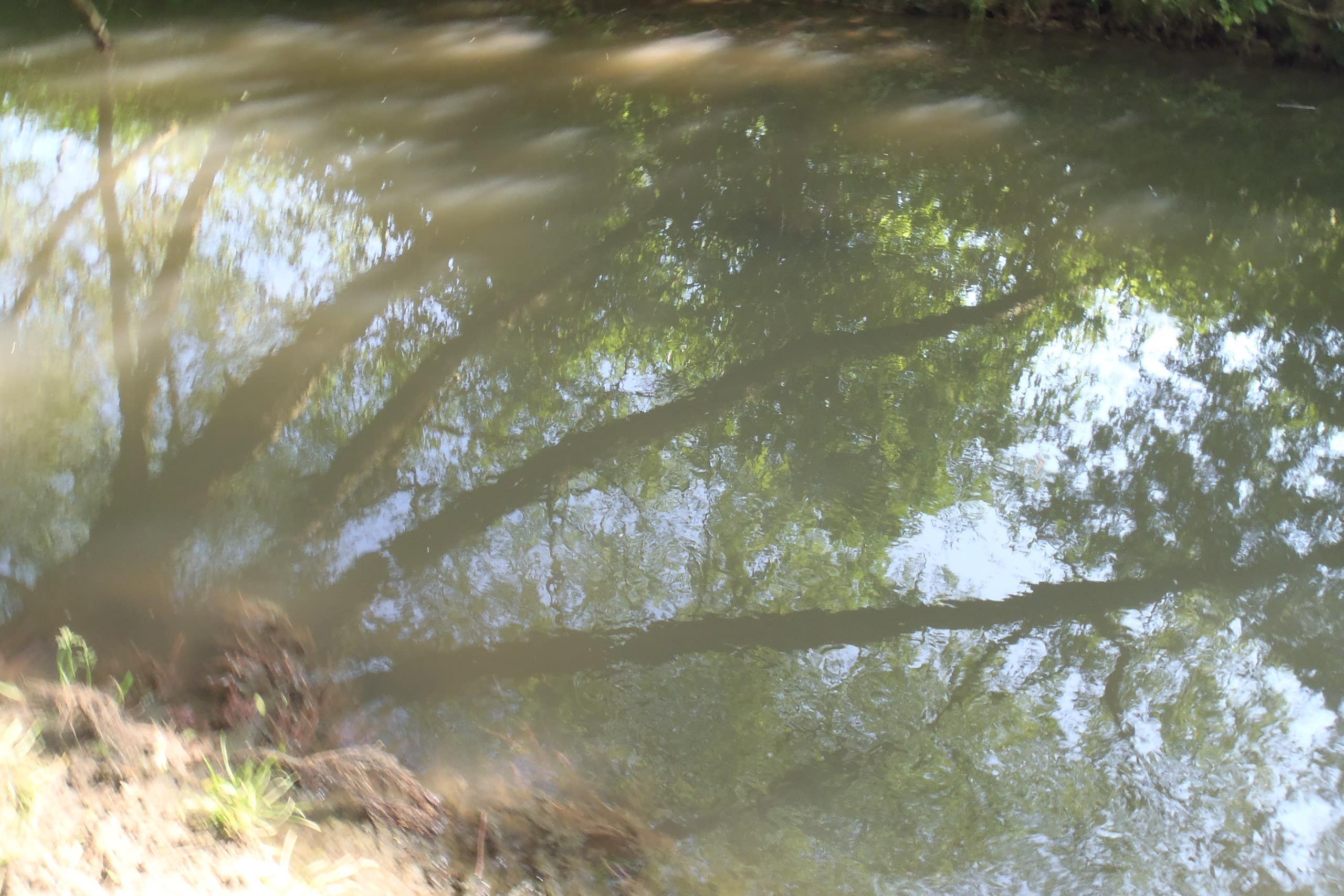 A polluted river (Environment Agency/PA)