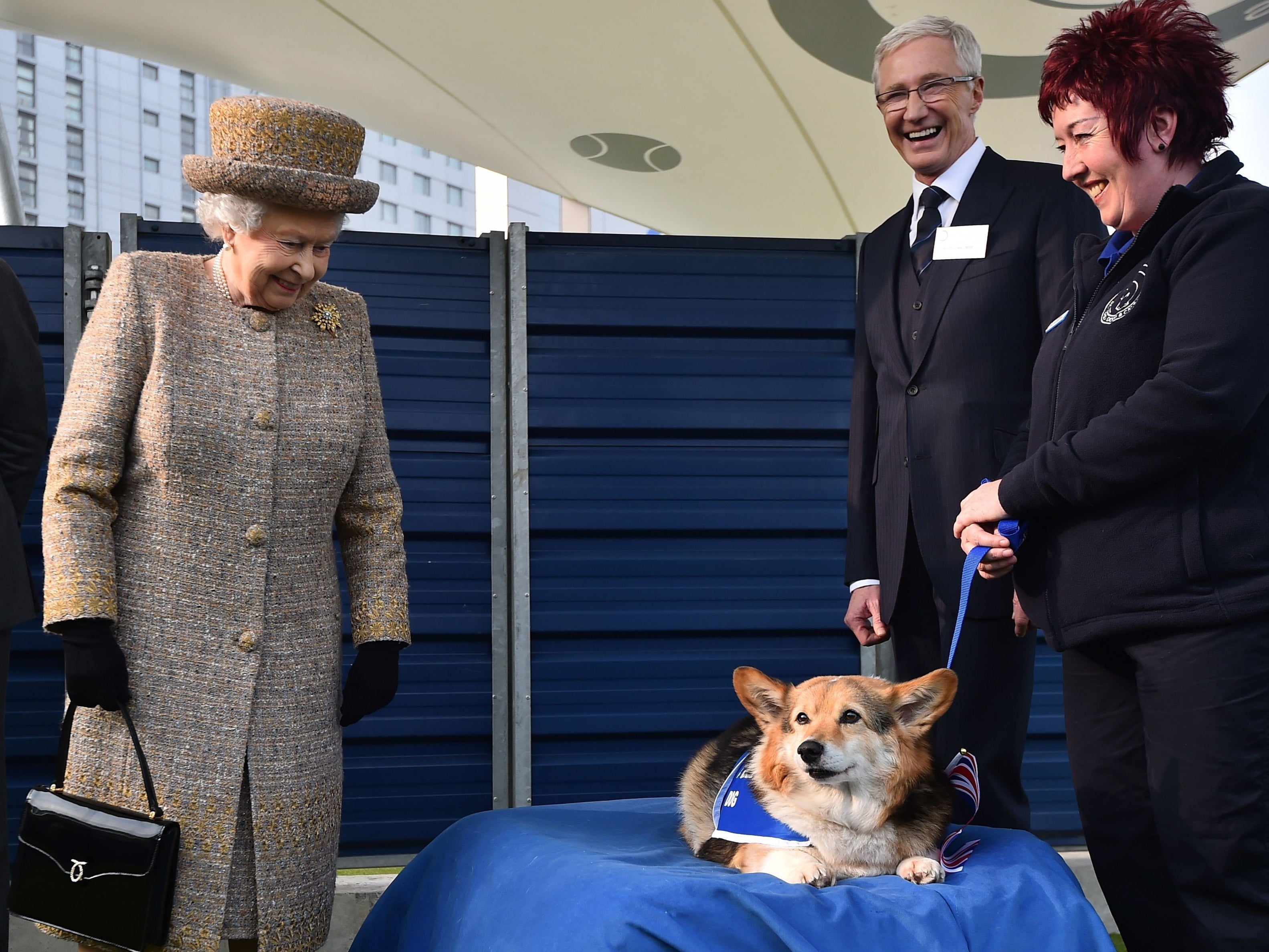 Paul O’Grady once tried to convince Queen Elizabeth II to adopt a rescue corgi