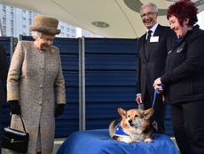 Paul O’Grady once tried to convince Queen Elizabeth II to adopt a rescue corgi