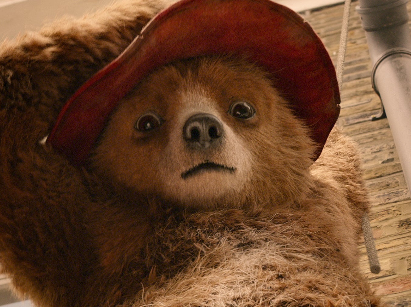 The first ’Paddington’ film is leaving Netflix