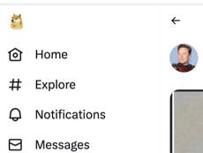 Elon Musk replaces Twitter bird logo for dogecoin’s shiba inu