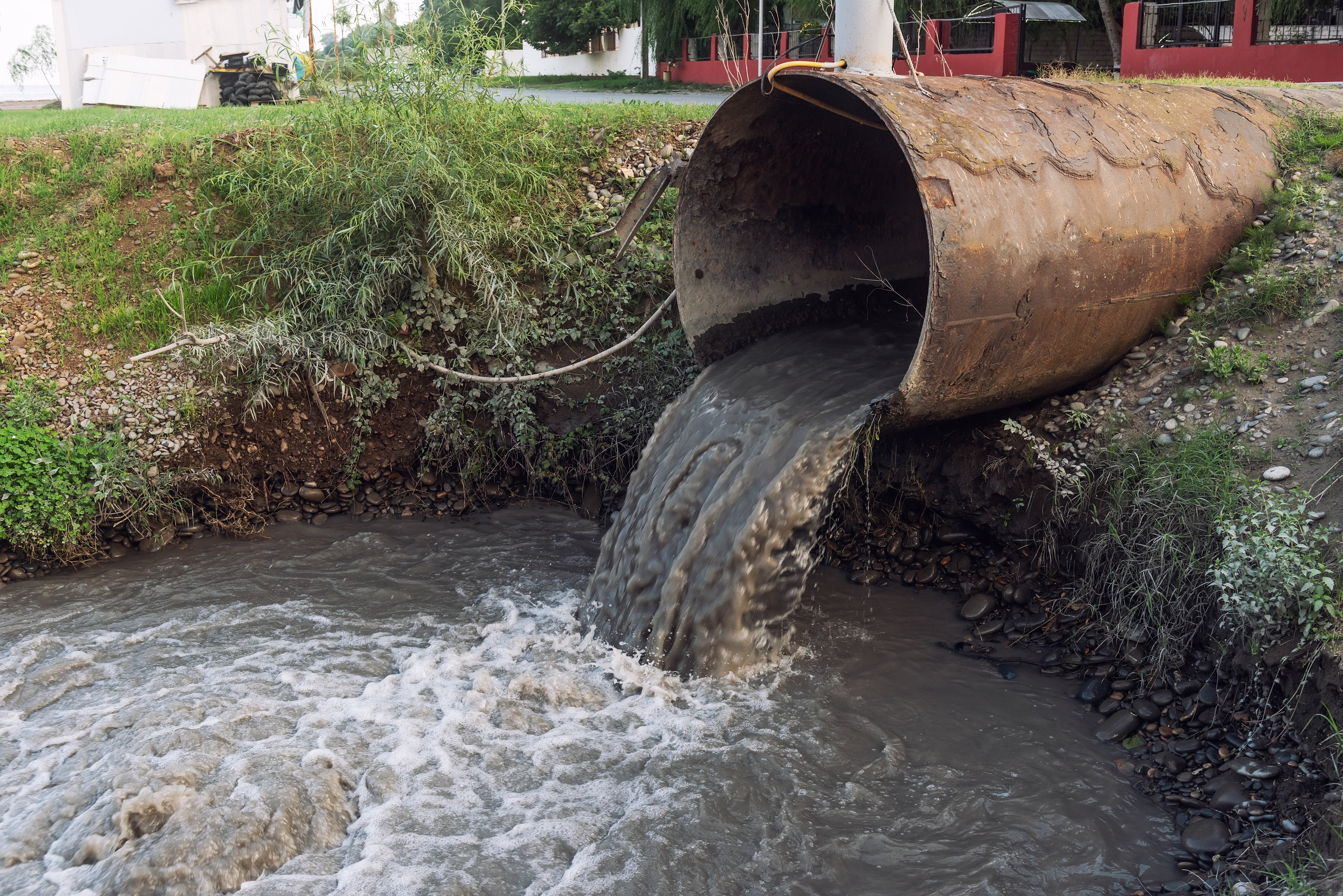 Sewage spills from water infrastructure have contributed to a situation in which no single river in England is considered to be in good overall health