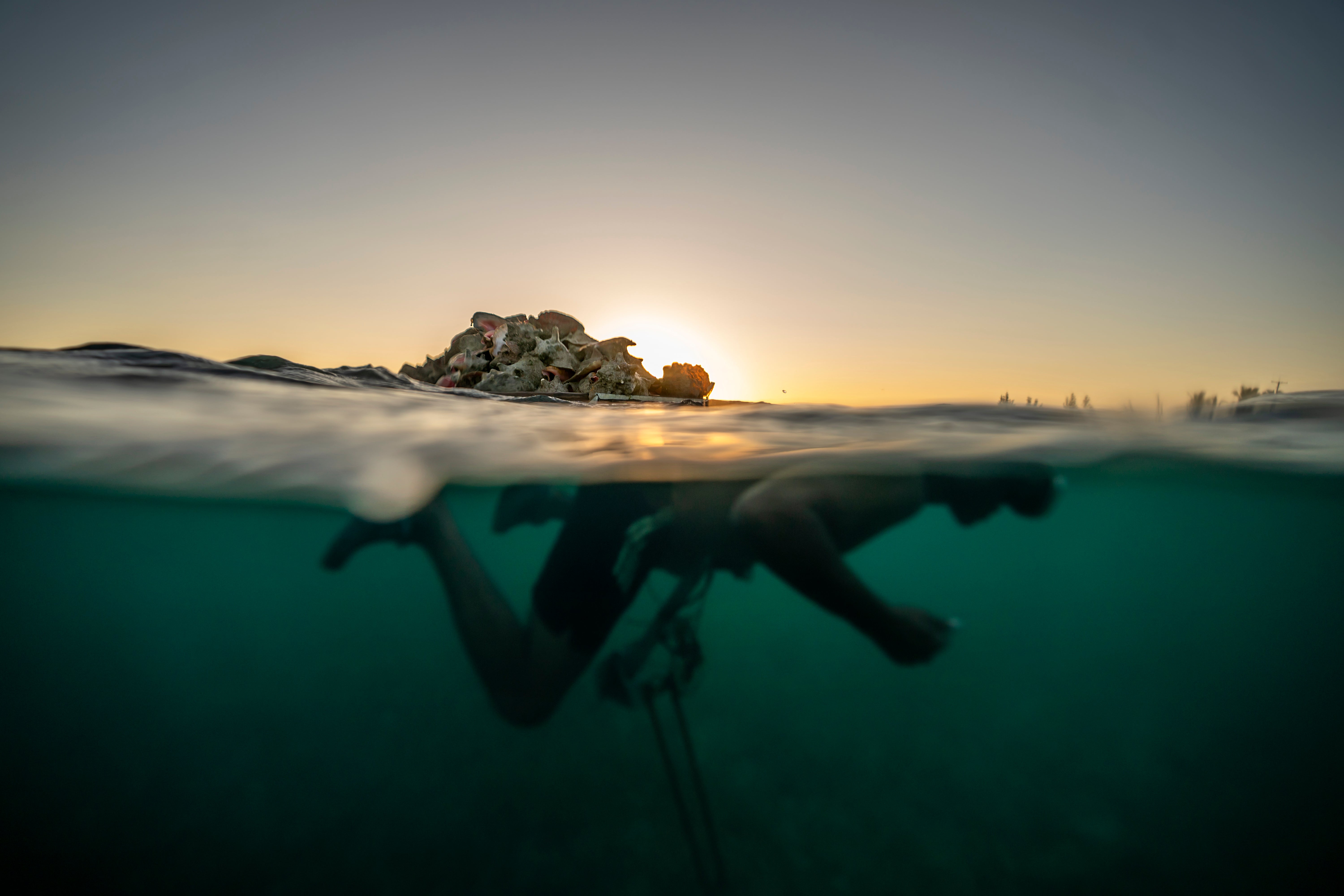 In Bahamas, a struggle to save conch, and a way of life
