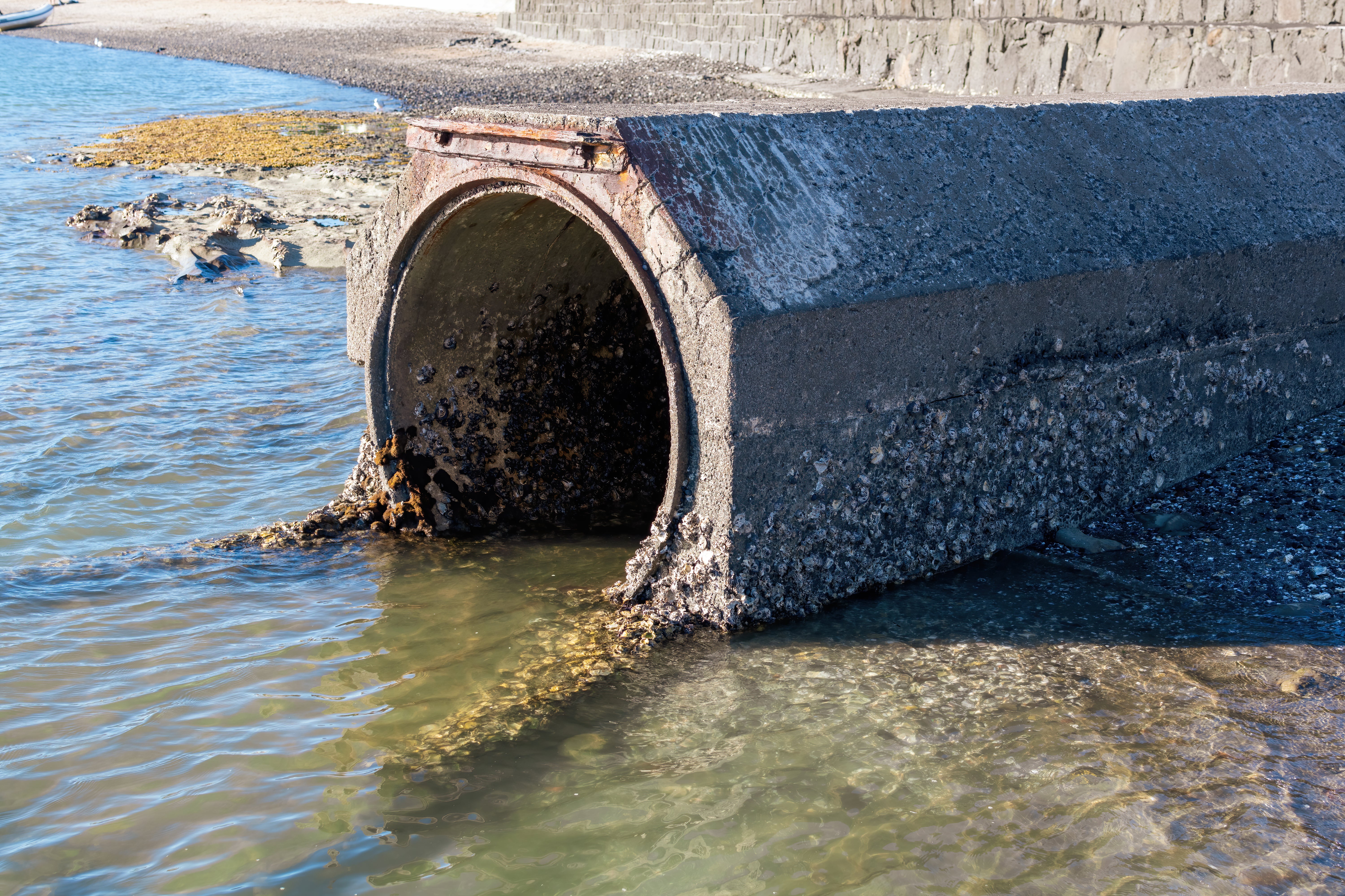 Water companies in England were found to dump sewage near Blue Flag beaches over 1,500 times last year