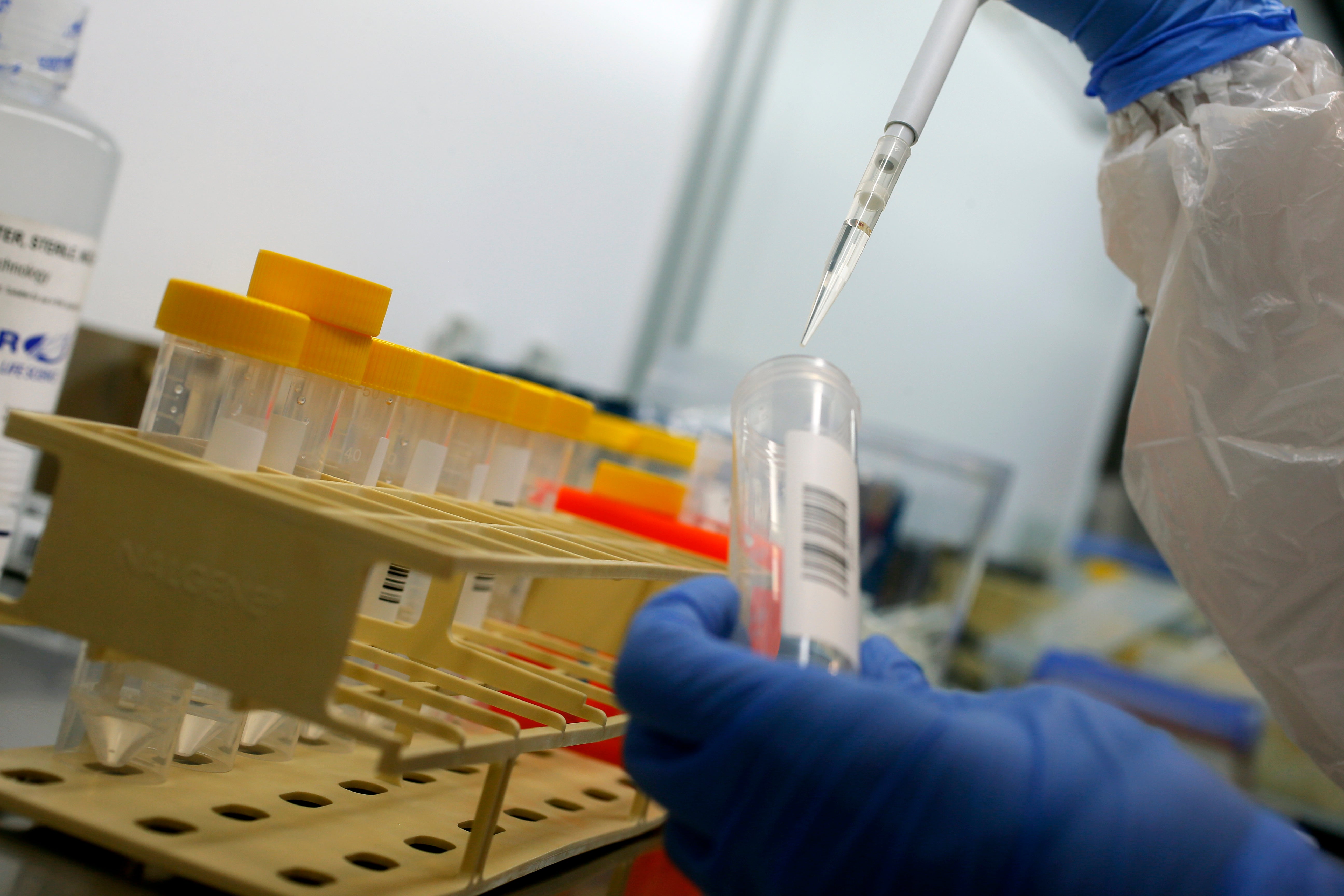 Netherlands Ukraine Missing Persons