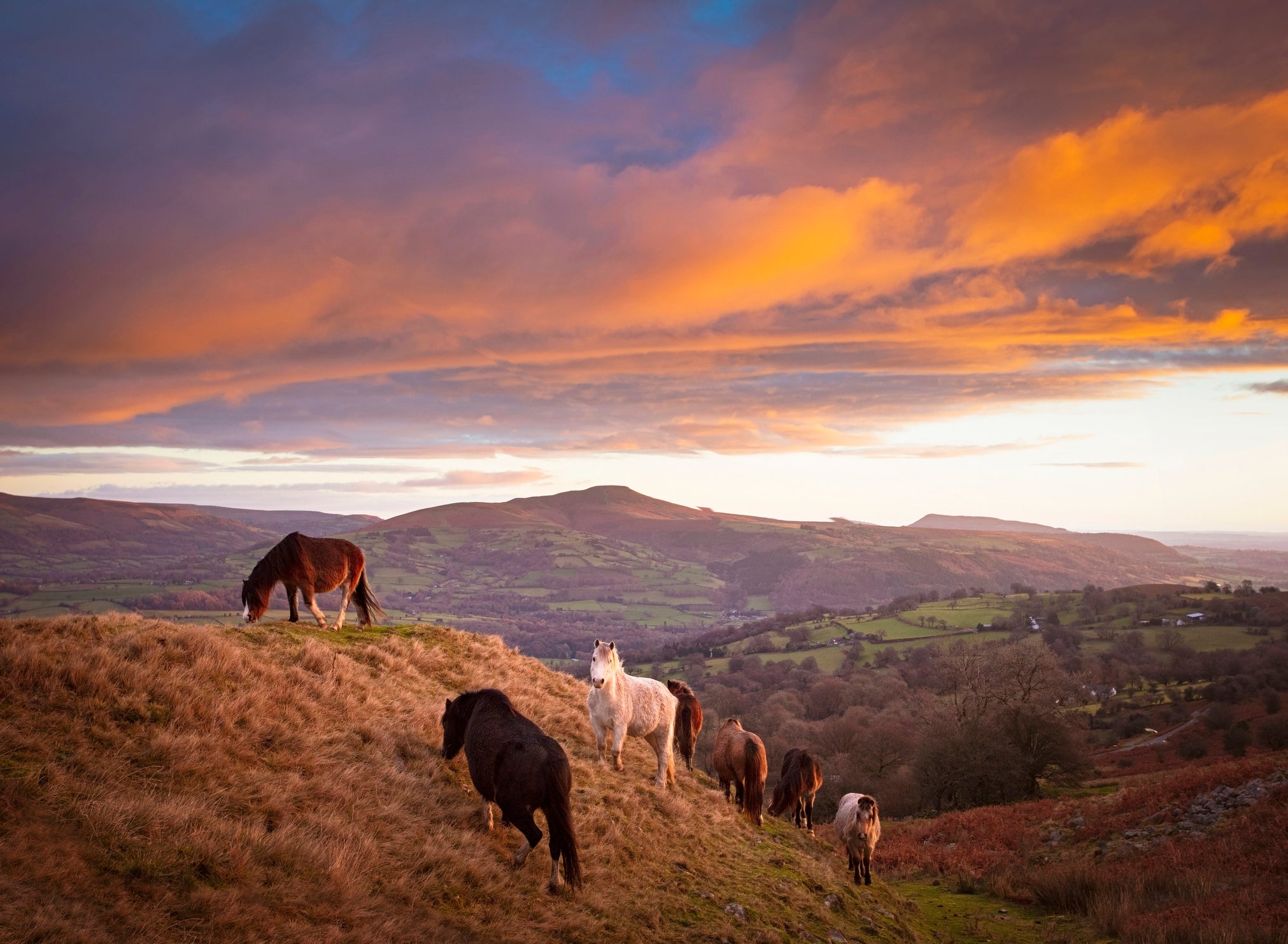 An early start is worth it if you catch sunrise in Brecon Beacons National Park