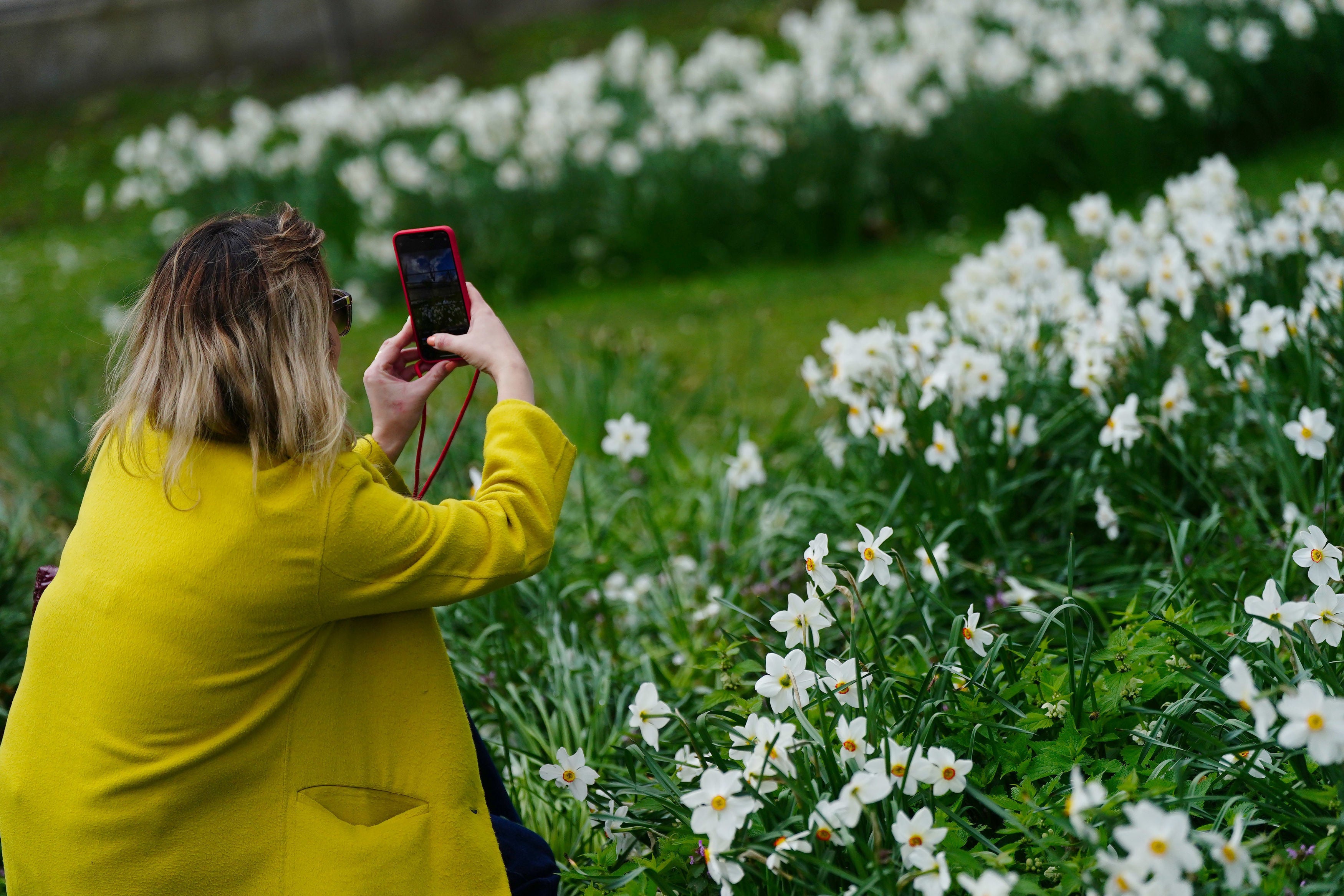 A woman taking pictures of flowers in St James’s Park, London ahead of the Easter weekend on Thursday, 6 April