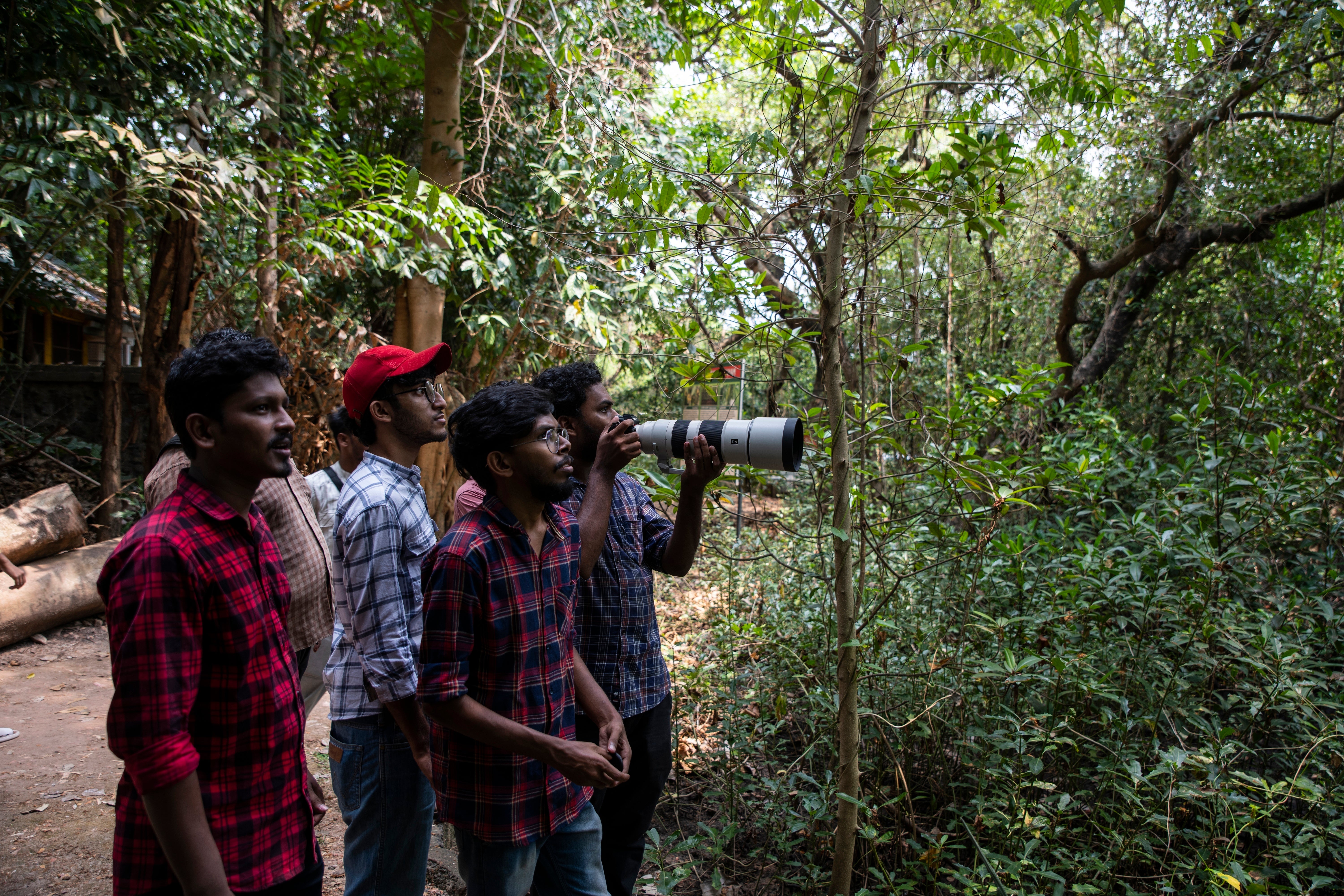 Climate India Mangrove Forests