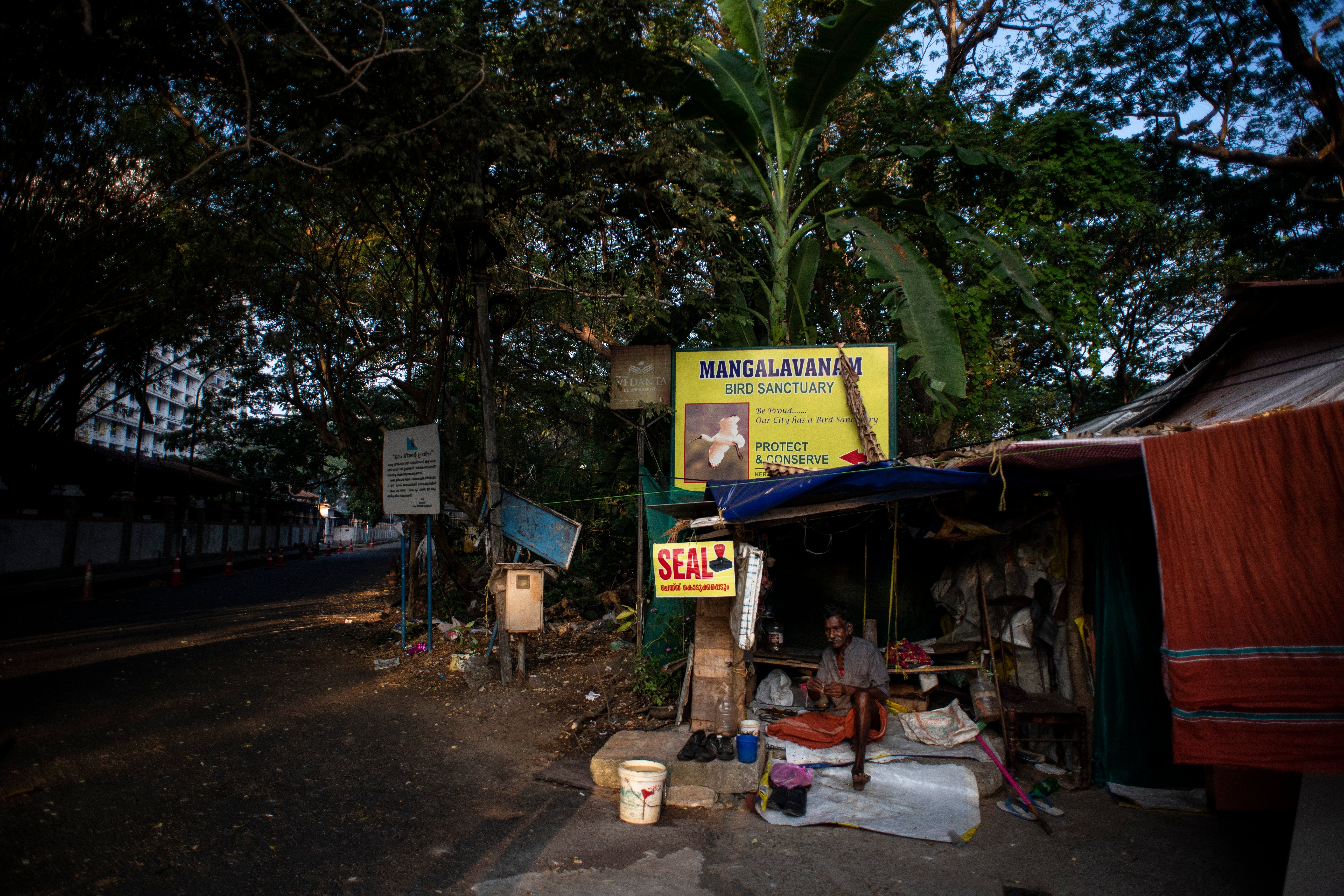 Climate India Mangrove Forests