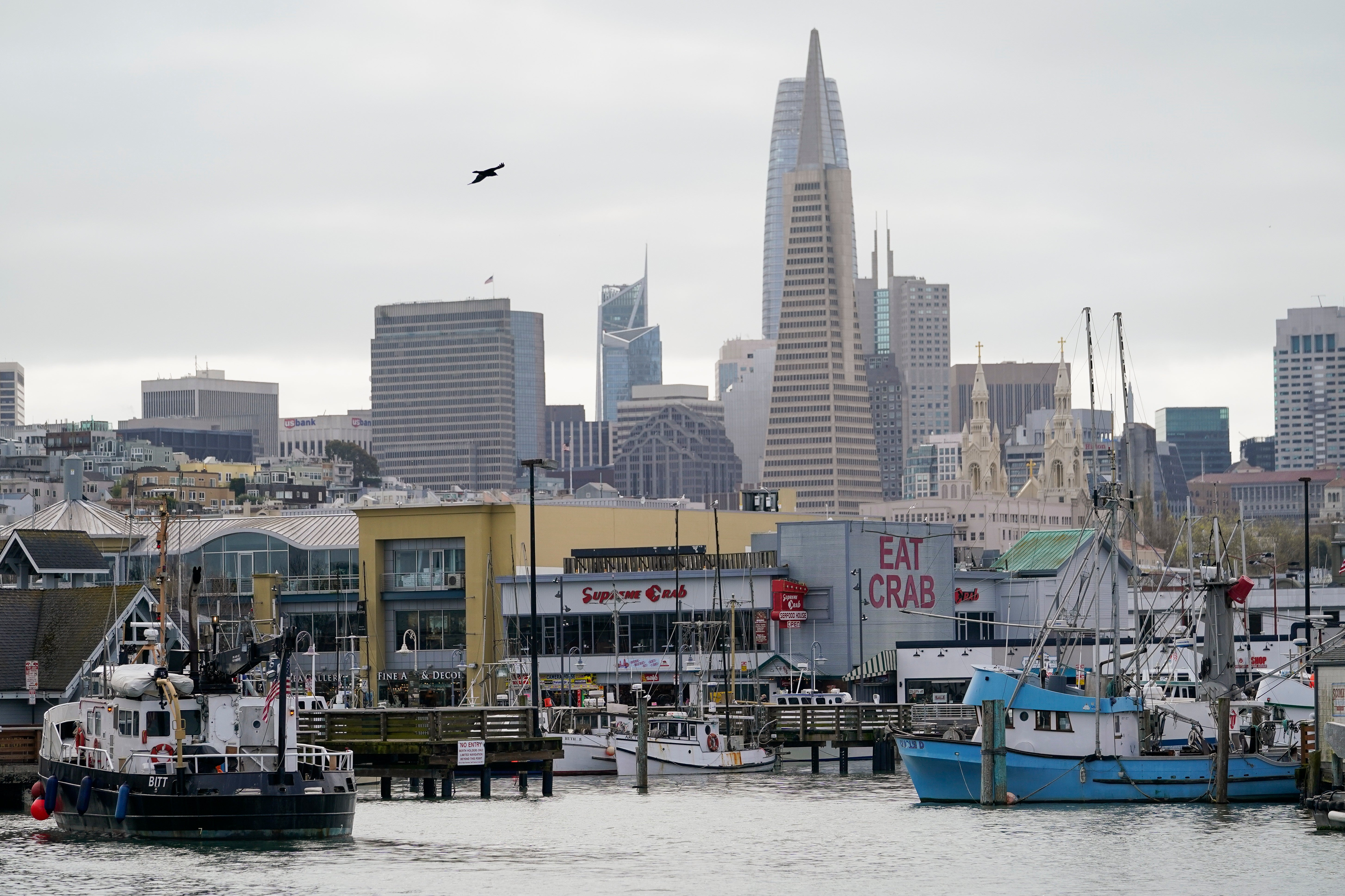 Fishing boats at Pier 45 in San Francisco in March. A federal regulatory group has voted to officially close king salmon fishing season along much of the West Coast after near-record low numbers of the fish