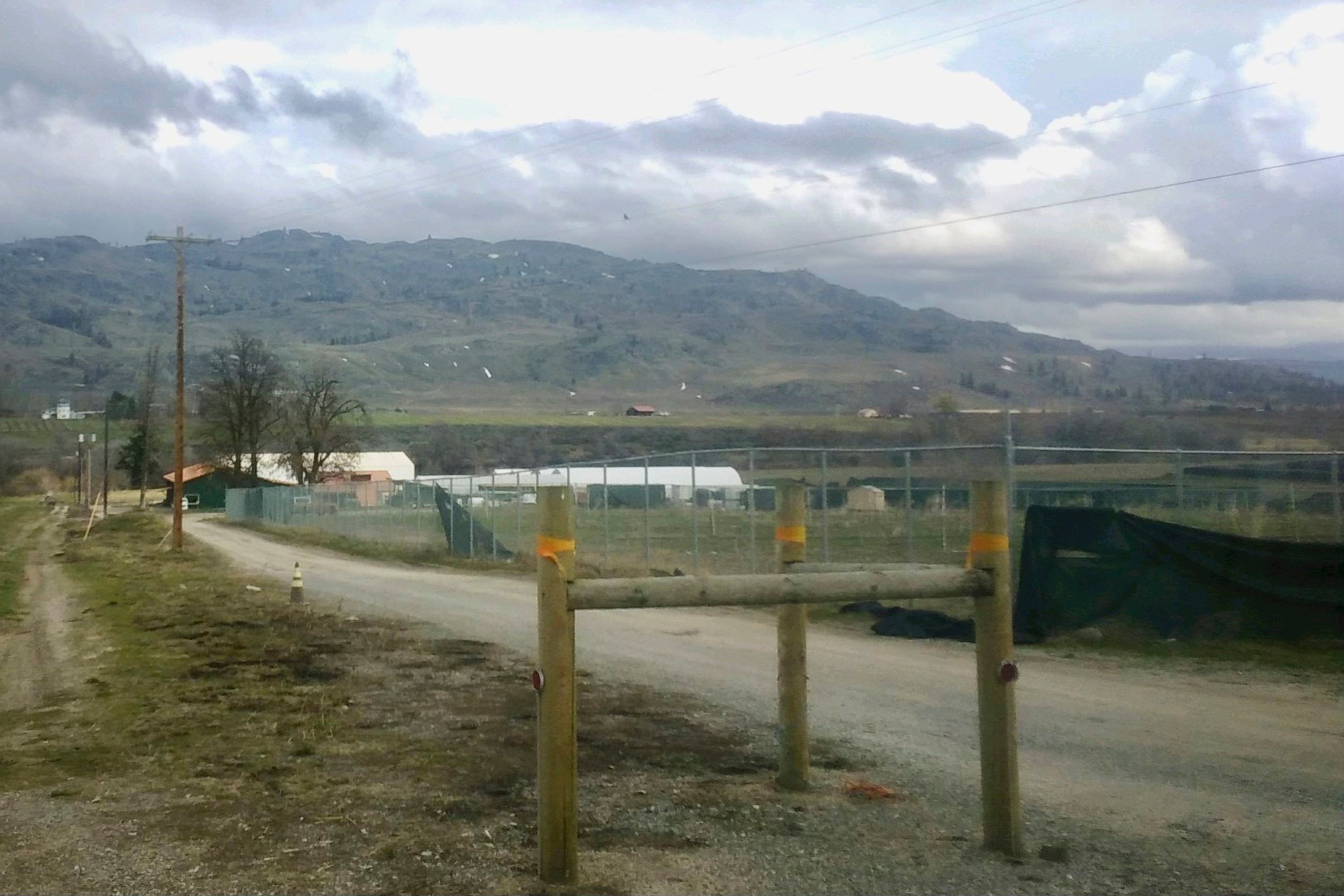 Legal Marijuana Pesticide